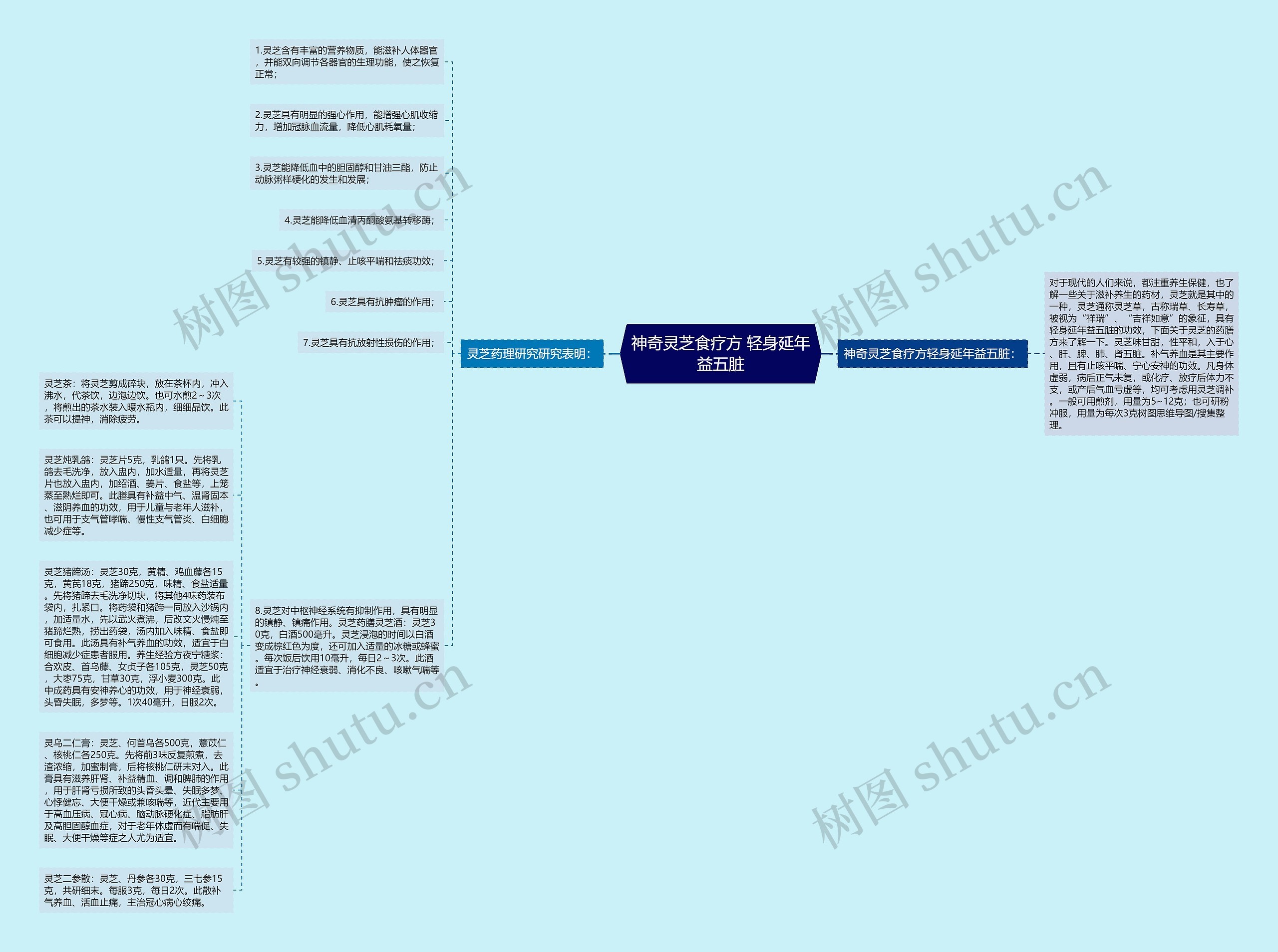 神奇灵芝食疗方 轻身延年益五脏思维导图