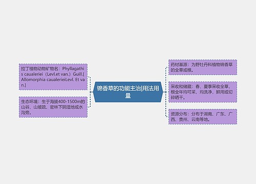 锦香草的功能主治|用法用量