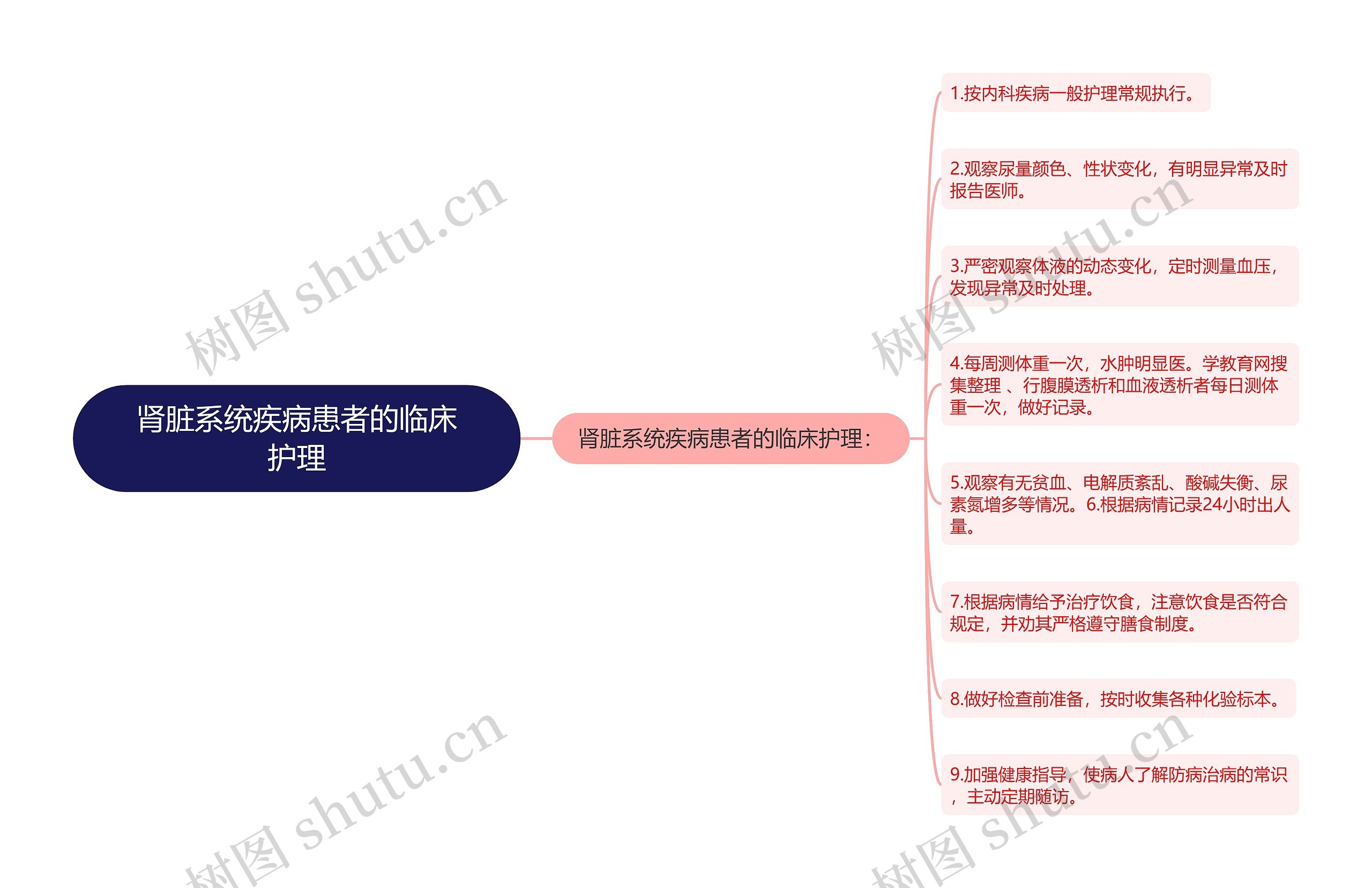 肾脏系统疾病患者的临床护理思维导图