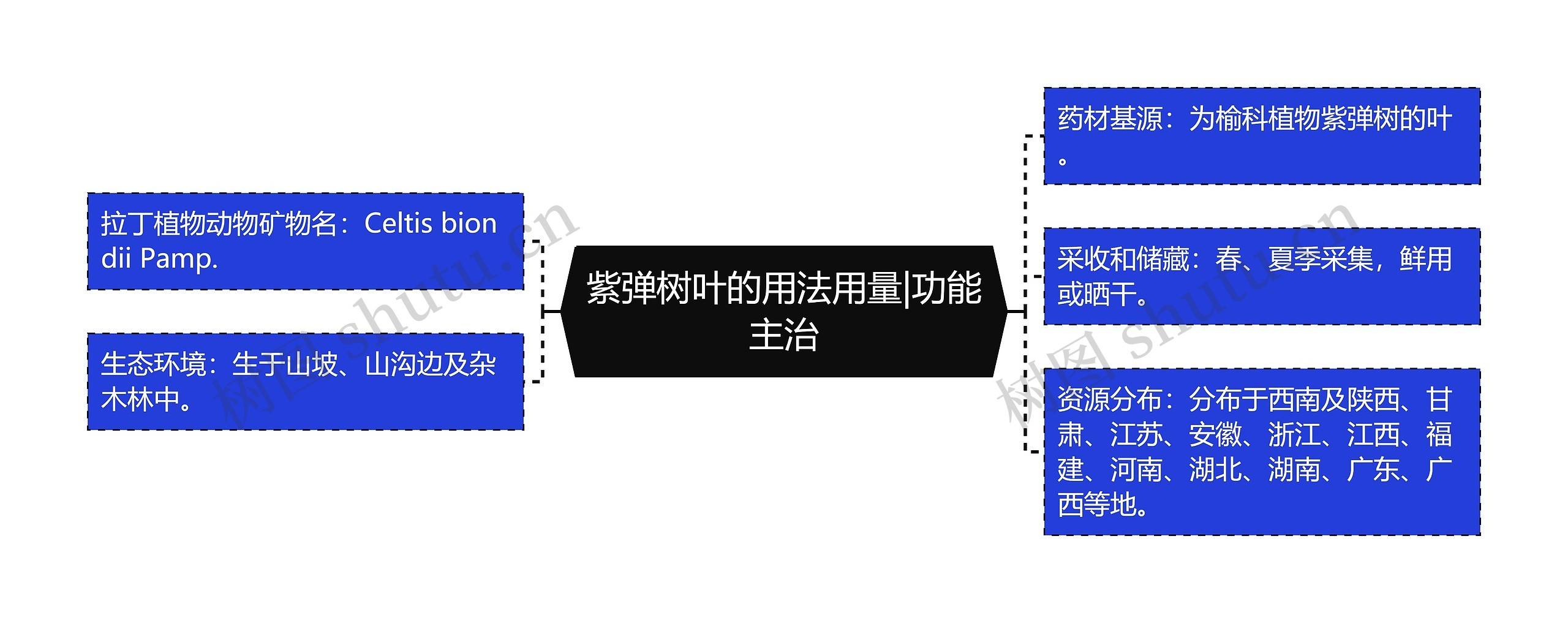 紫弹树叶的用法用量|功能主治