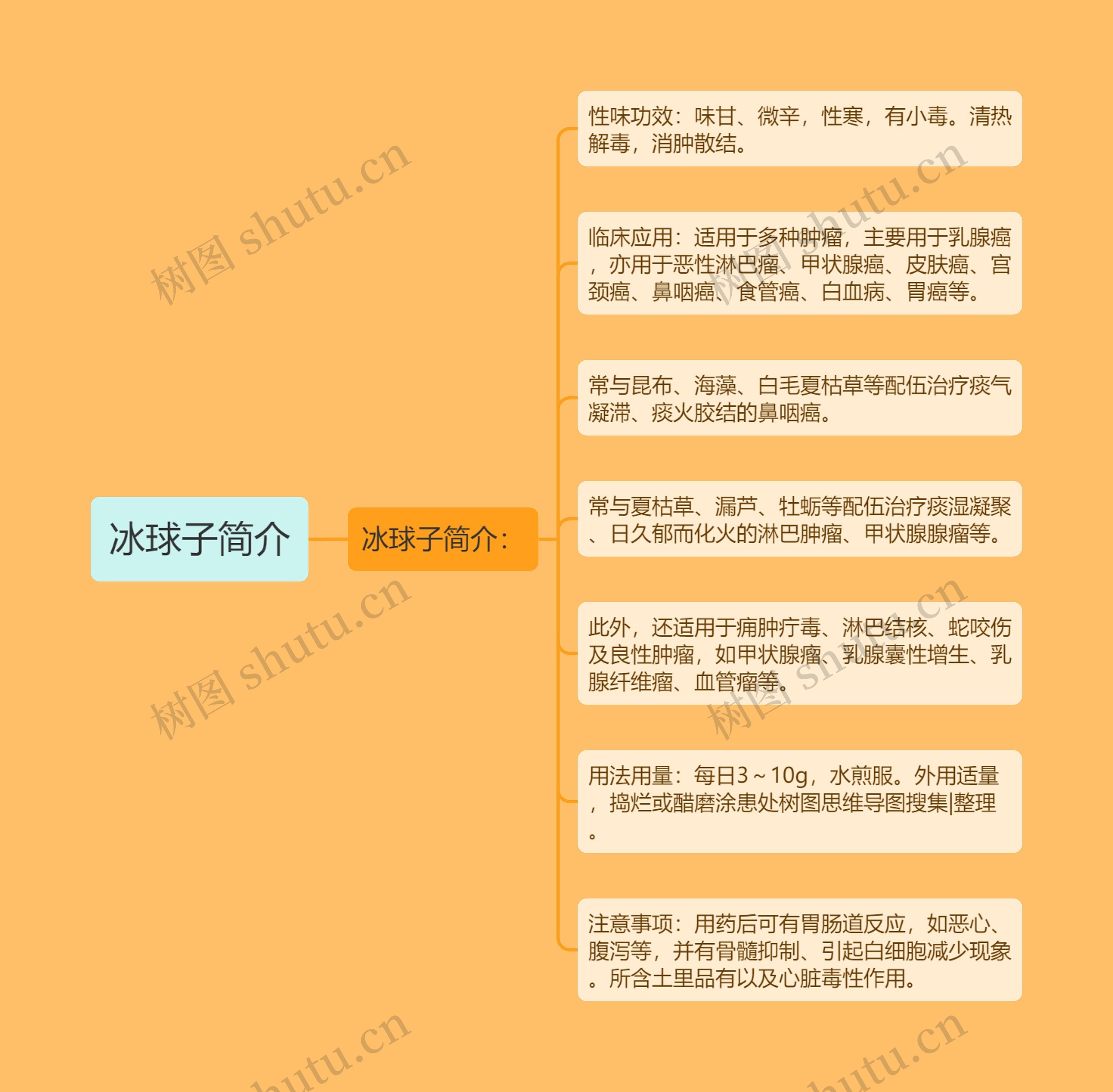 冰球子简介思维导图