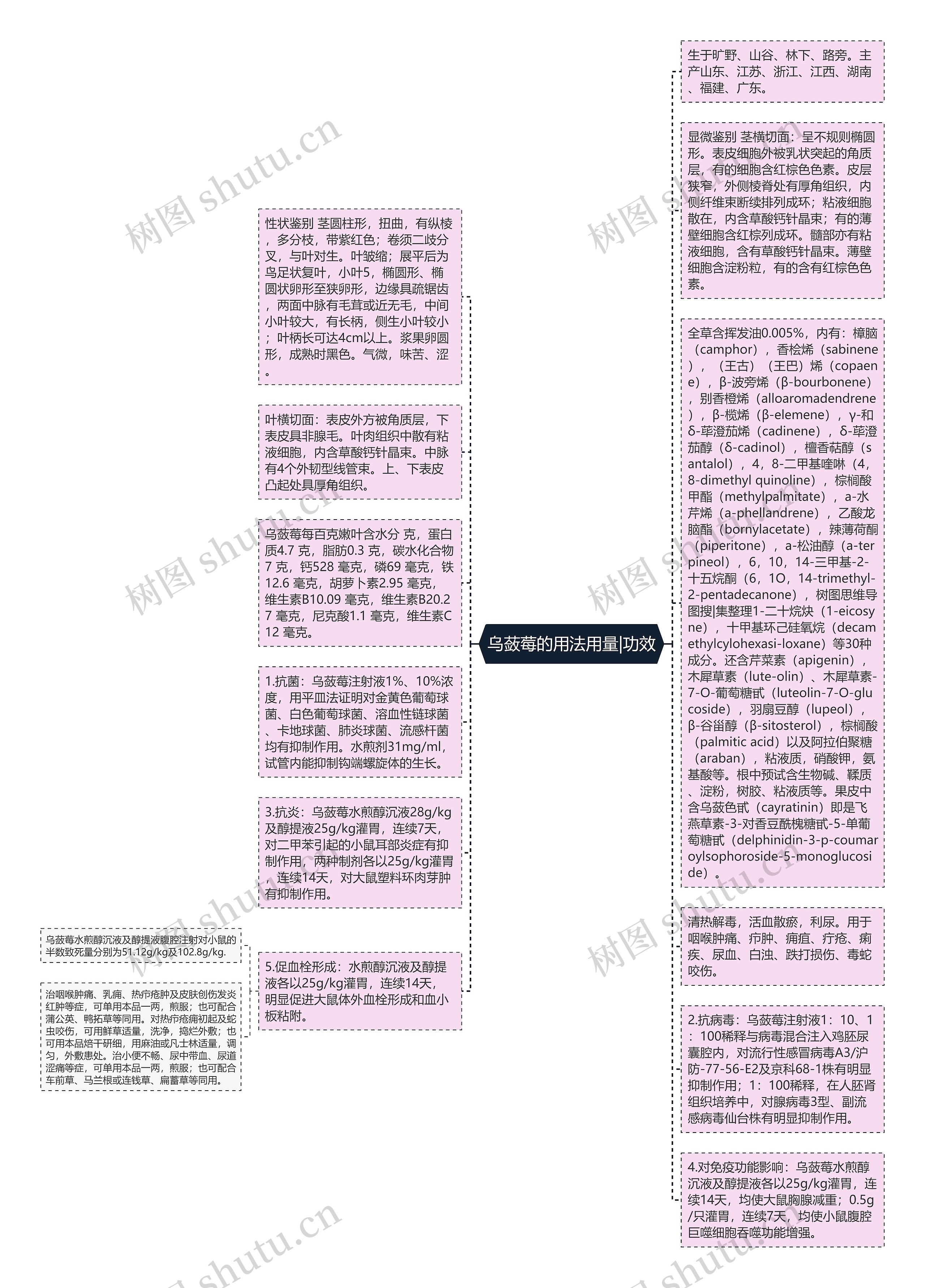 乌蔹莓的用法用量|功效思维导图