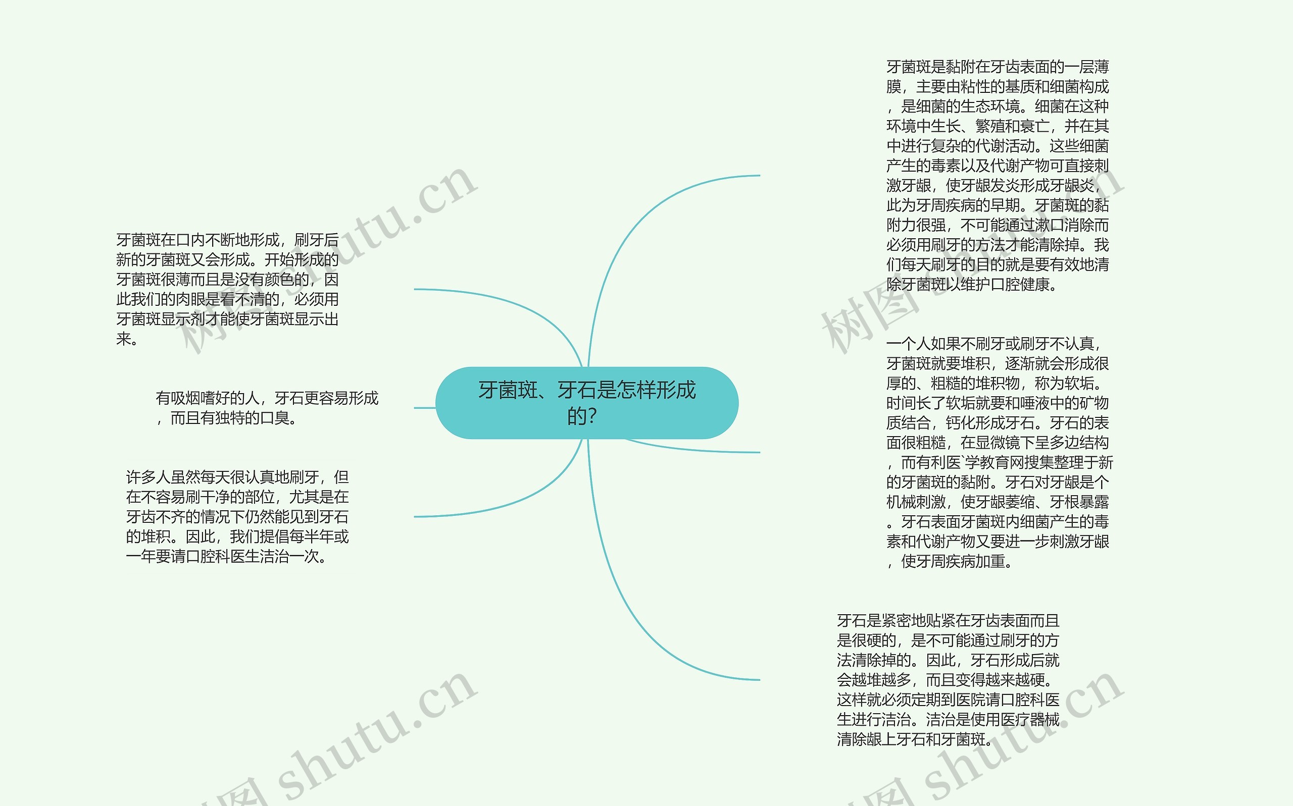 牙菌斑、牙石是怎样形成的？