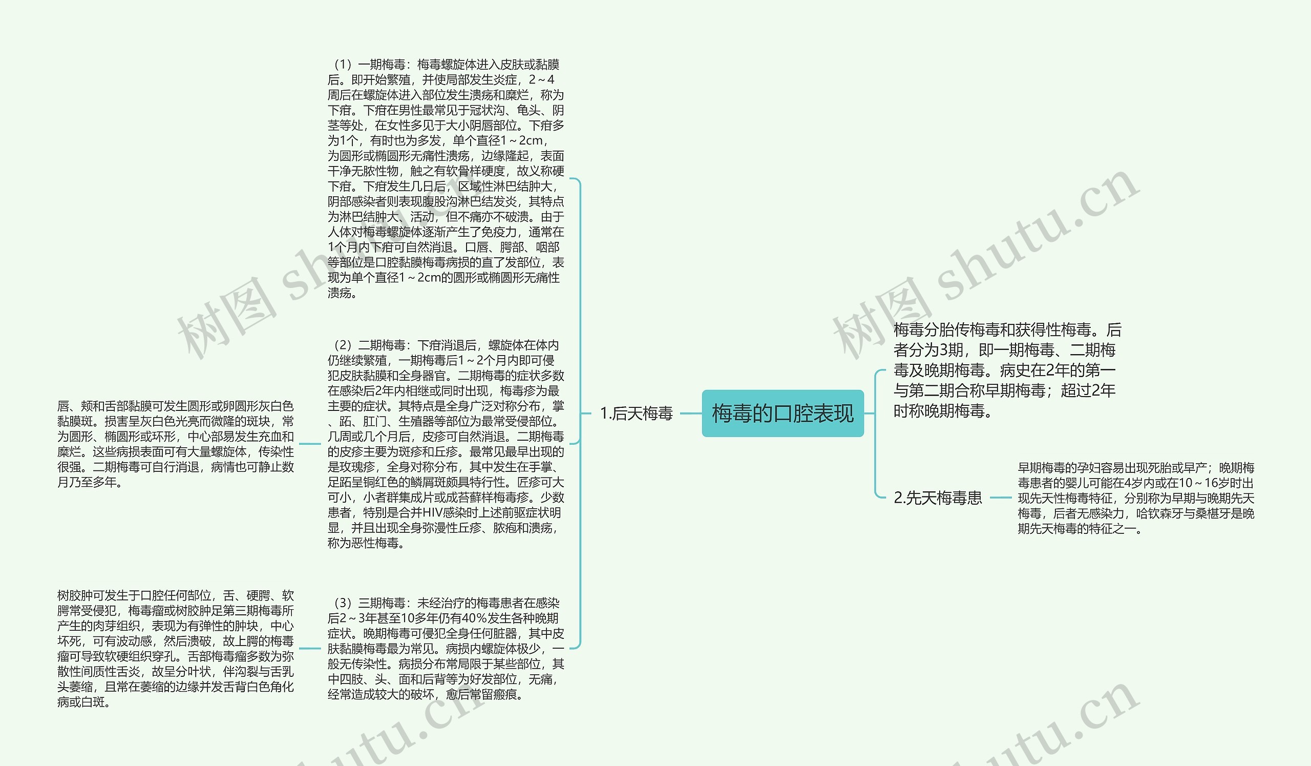 梅毒的口腔表现思维导图