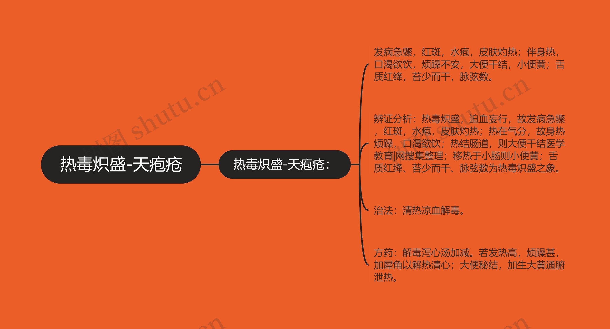 热毒炽盛-天疱疮