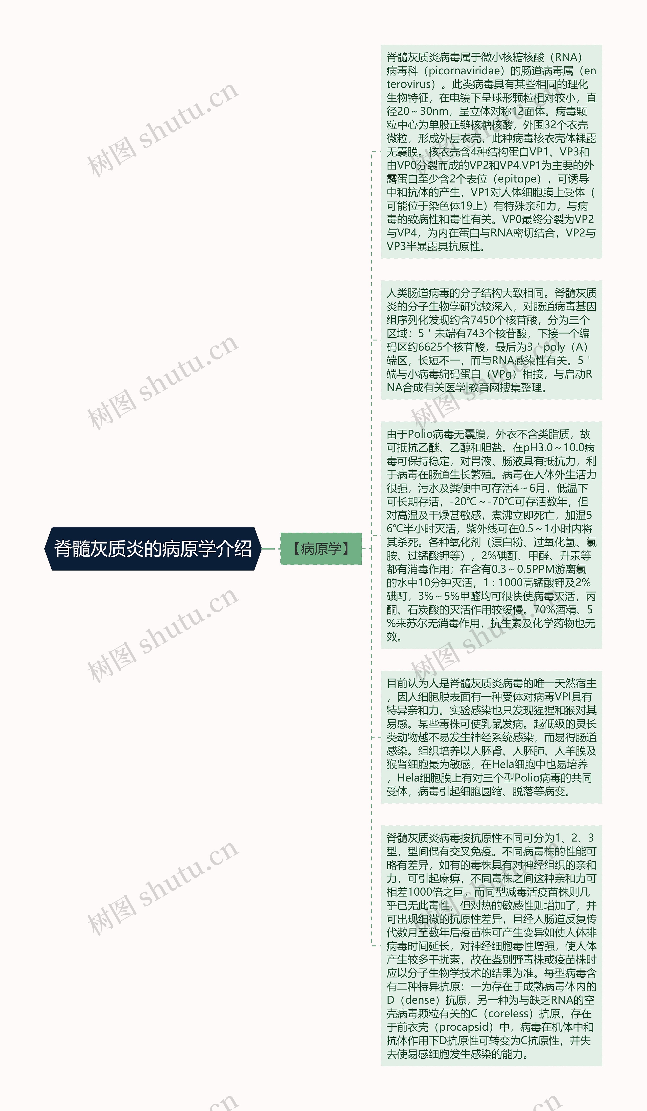 脊髓灰质炎的病原学介绍思维导图