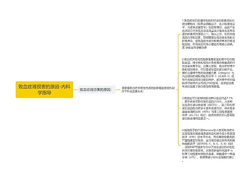 败血症肾损害的原因-内科学指导