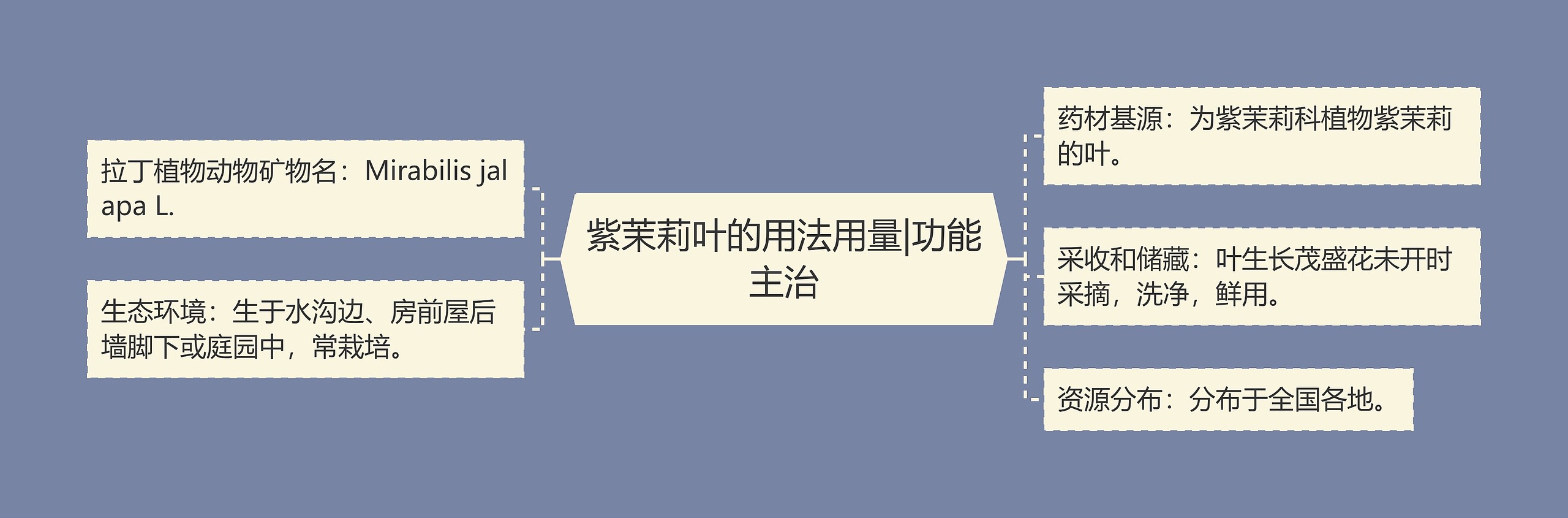紫茉莉叶的用法用量|功能主治 紫茉莉叶的用法用量|功能主治