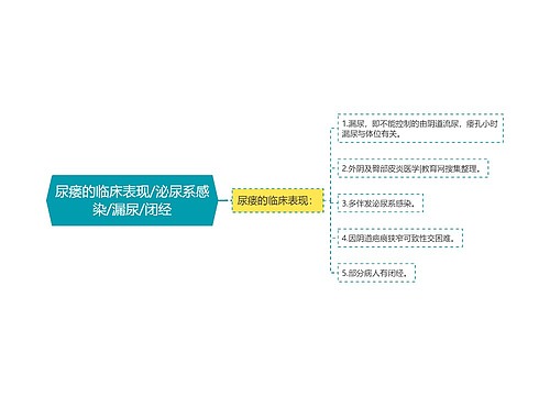 尿瘘的临床表现/泌尿系感染/漏尿/闭经