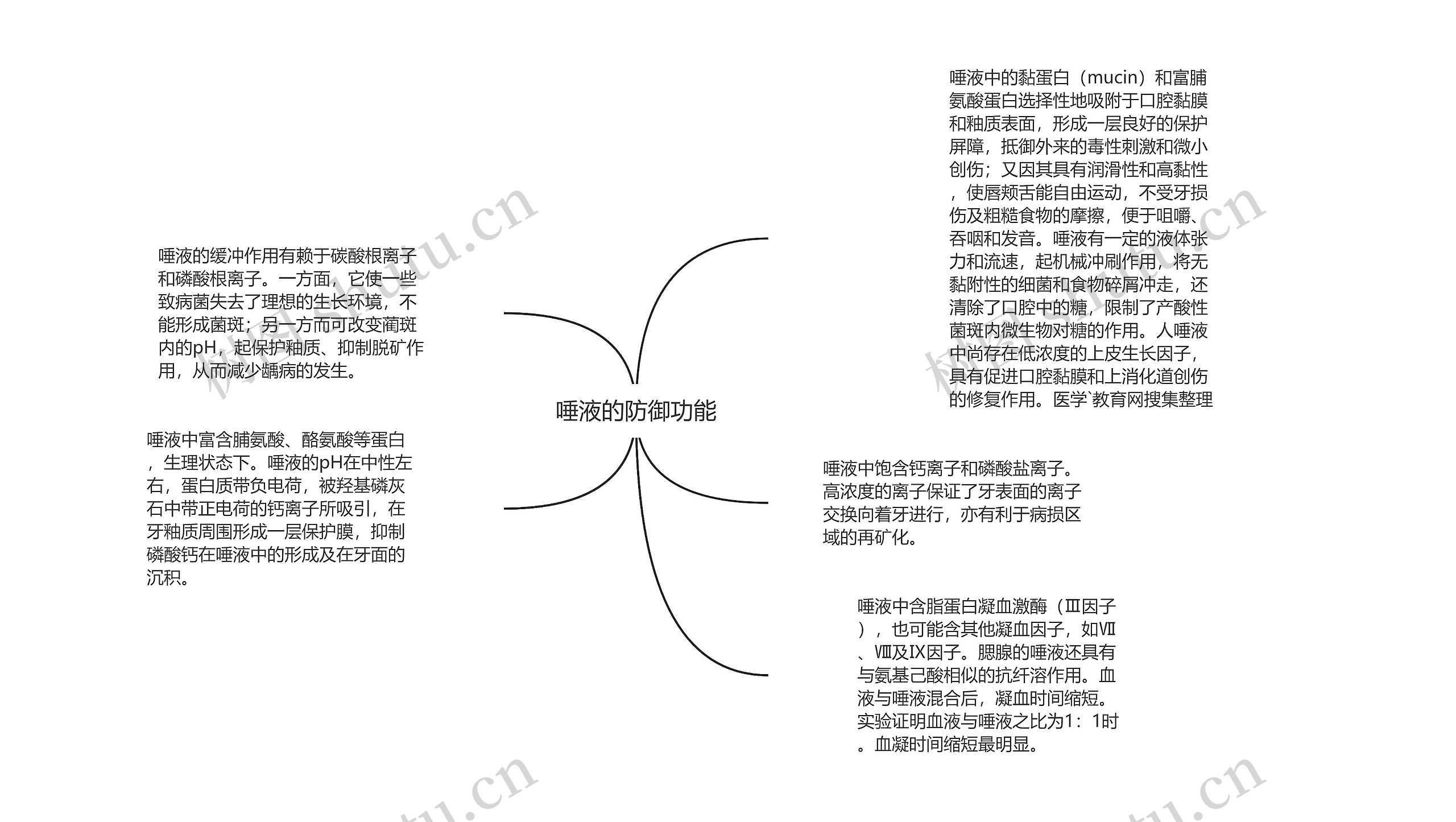 唾液的防御功能思维导图