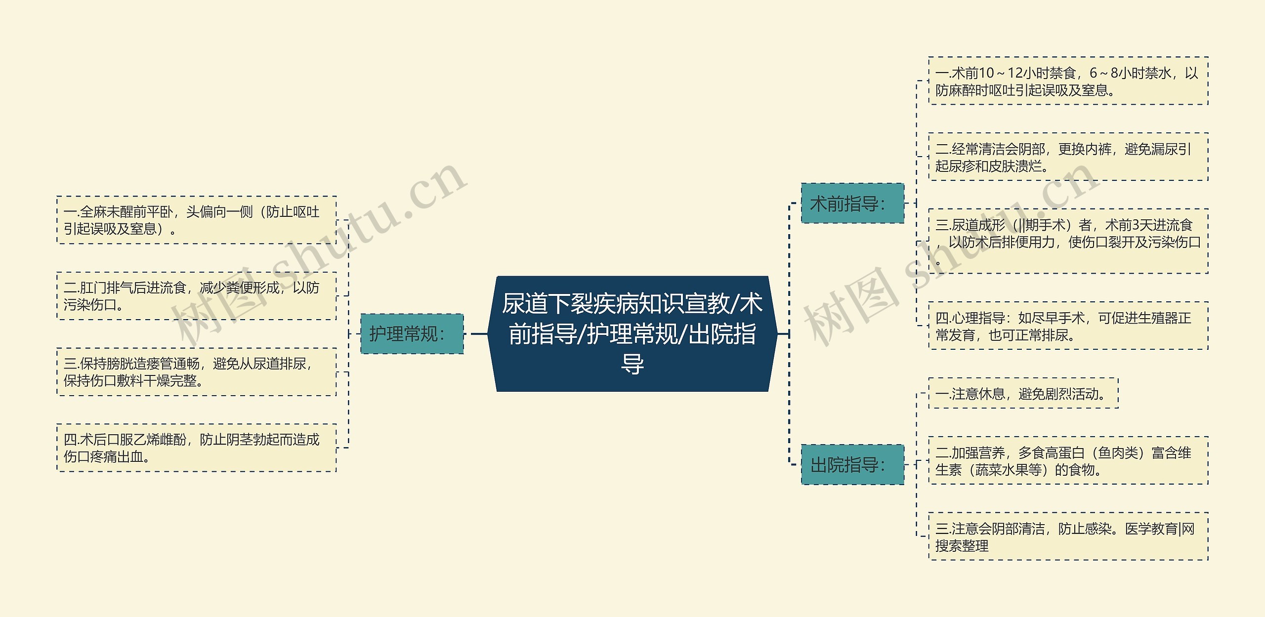 尿道下裂疾病知识宣教/术前指导/护理常规/出院指导思维导图