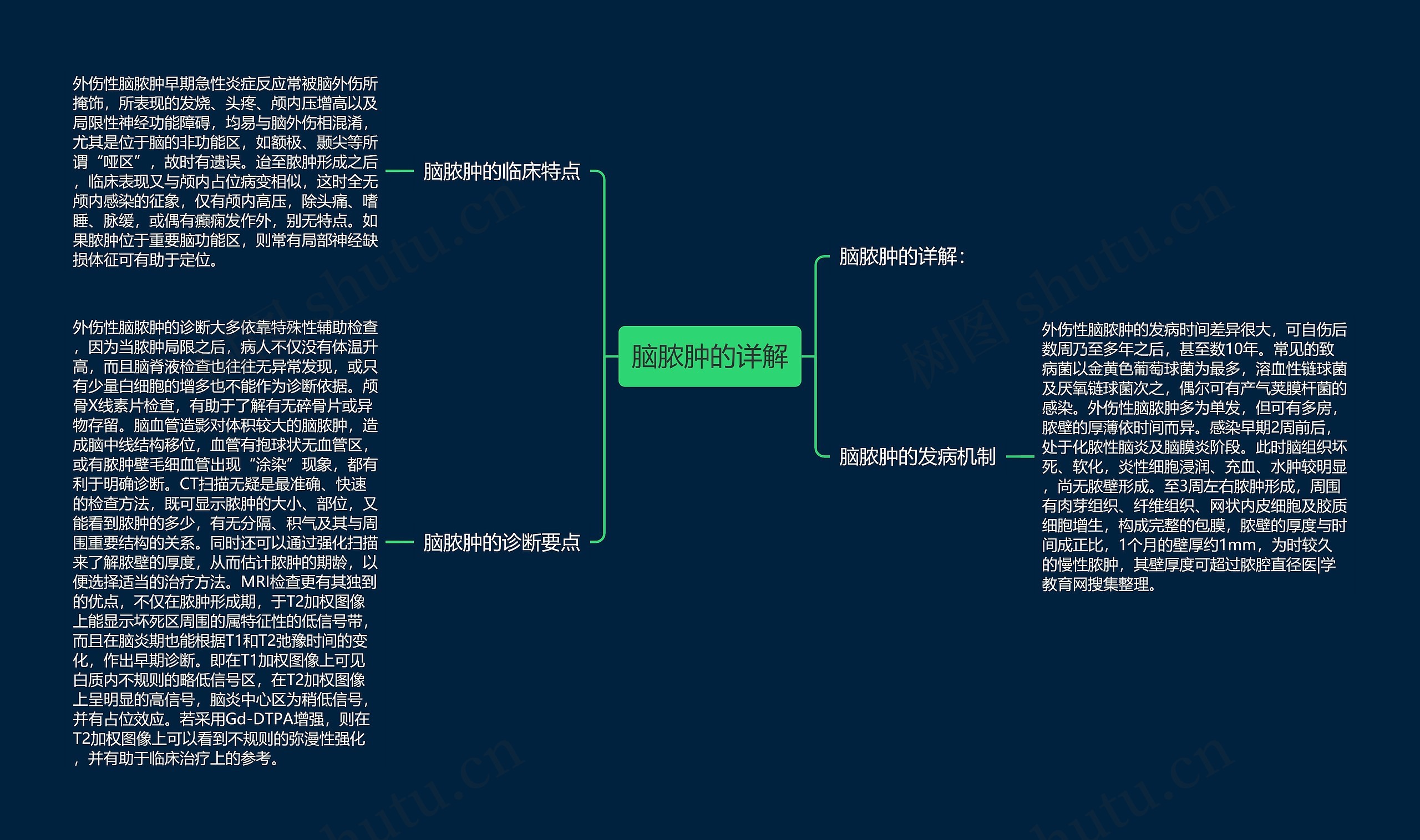 脑脓肿的详解思维导图