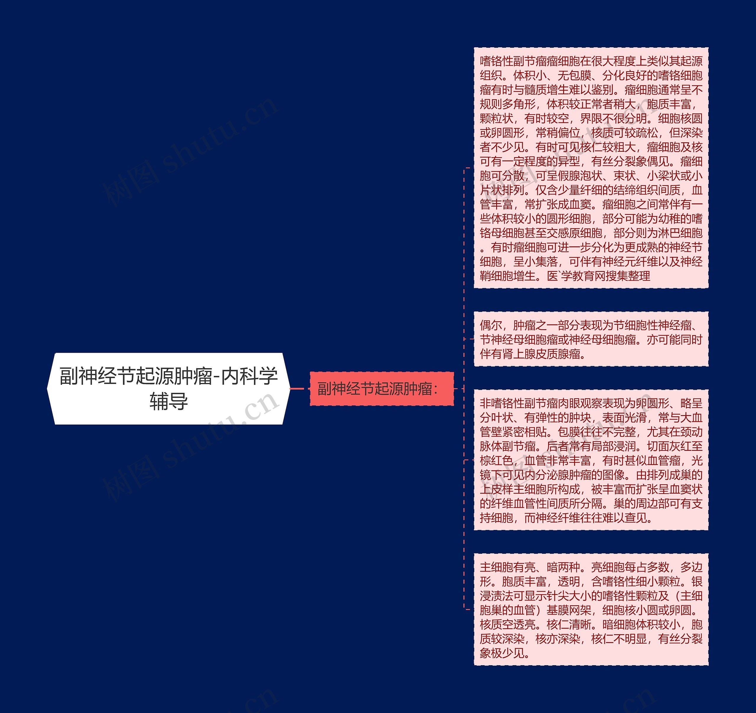 副神经节起源肿瘤-内科学辅导思维导图