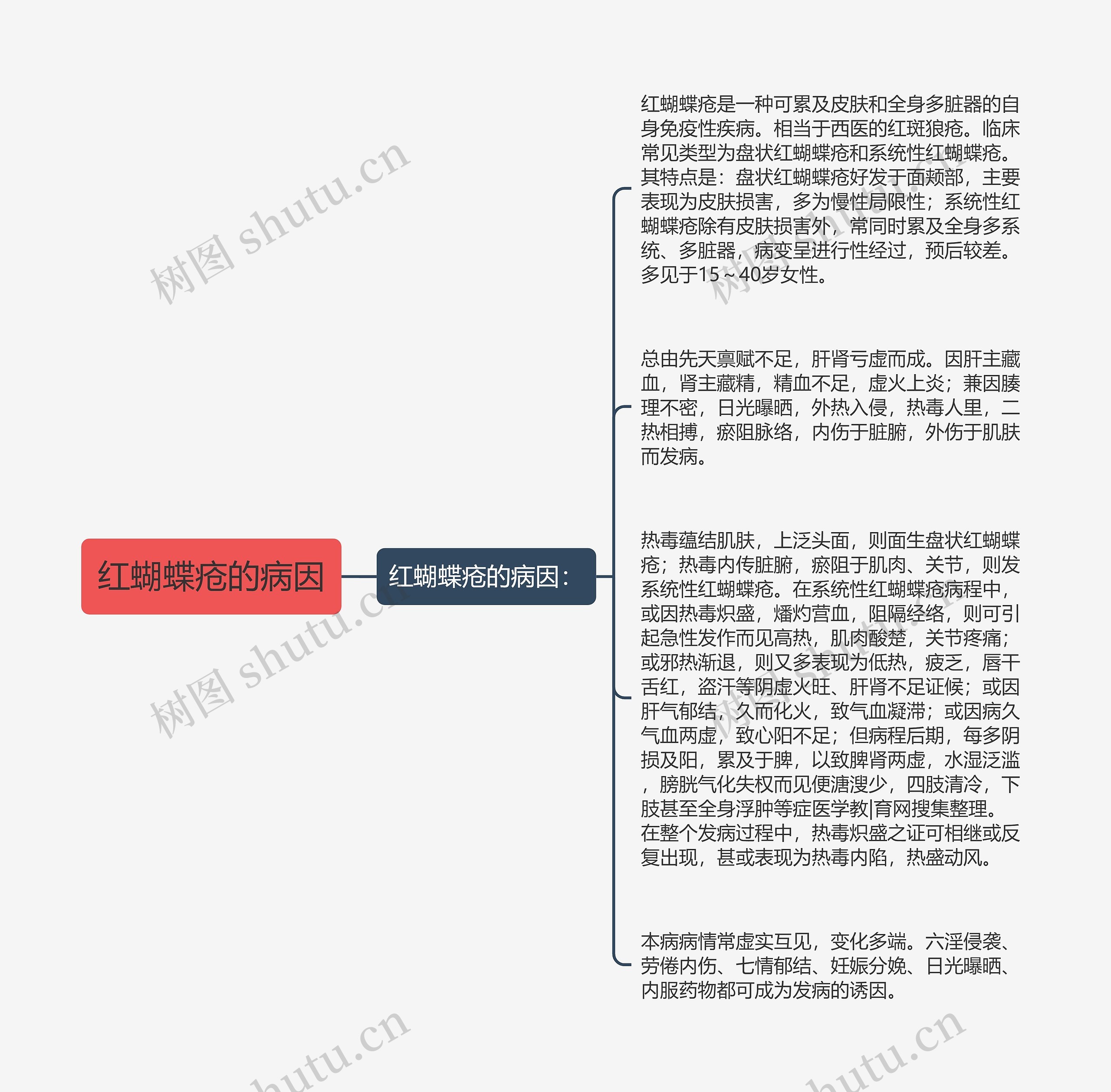 红蝴蝶疮的病因