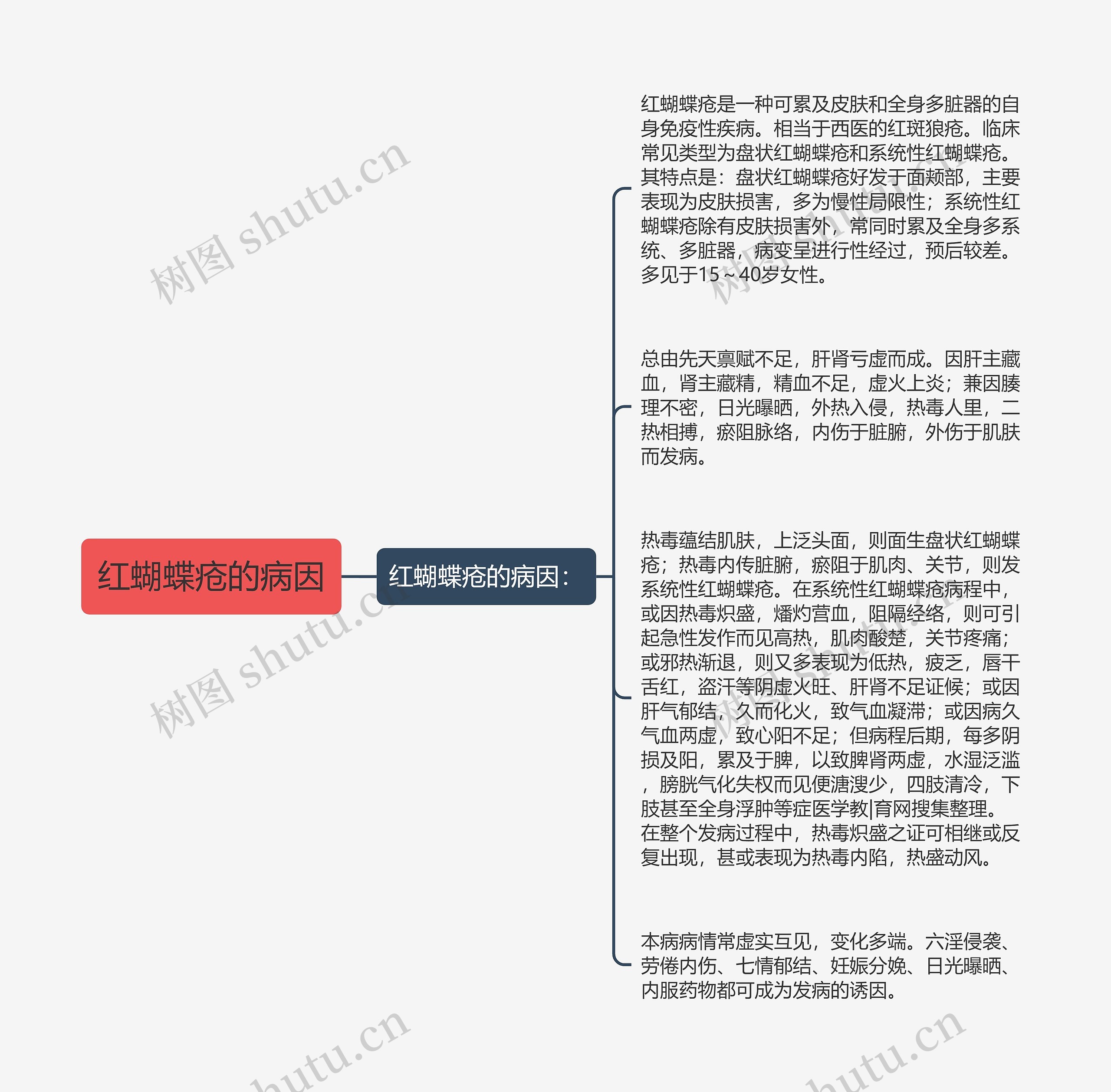 红蝴蝶疮的病因思维导图