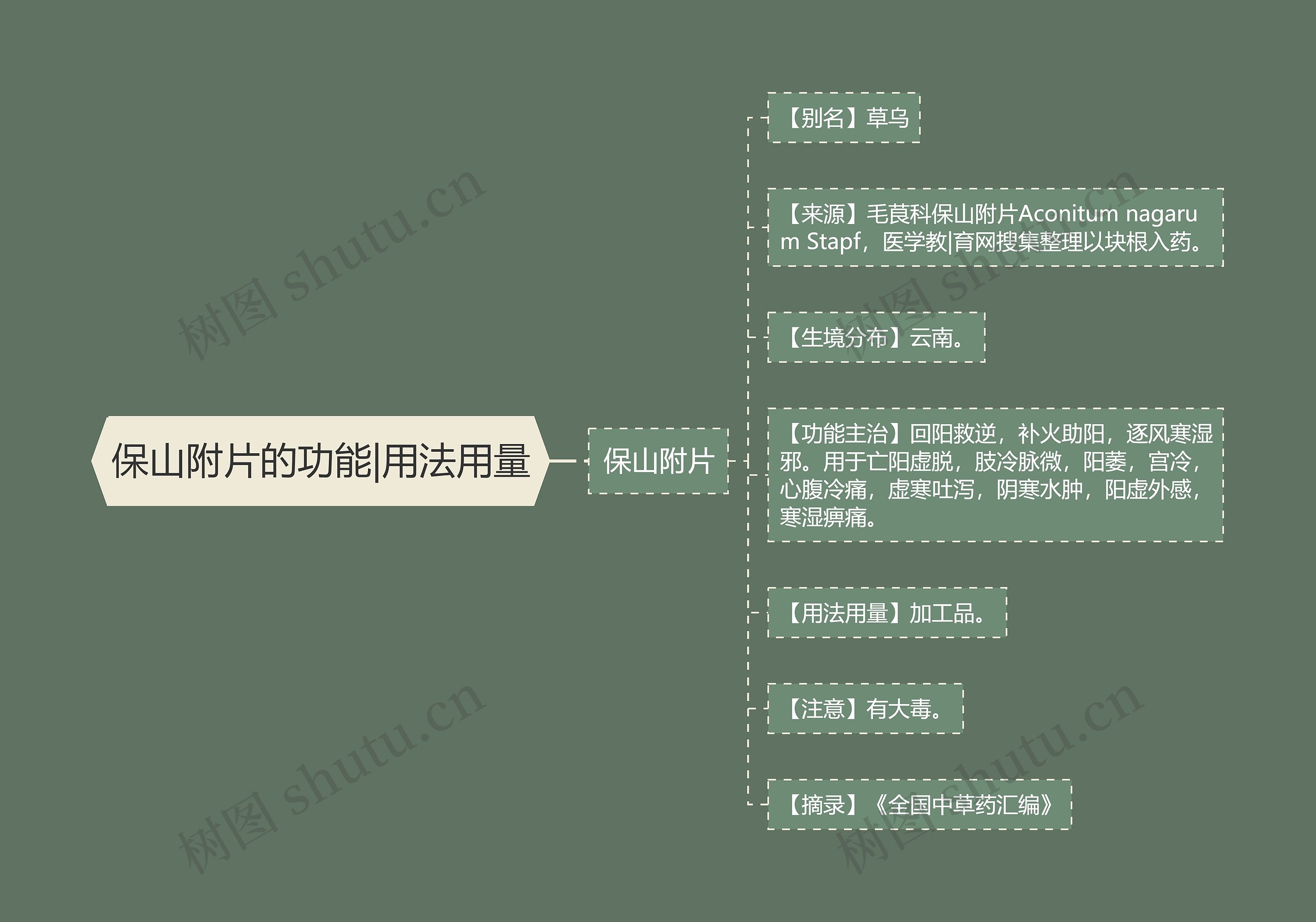 保山附片的功能|用法用量思维导图