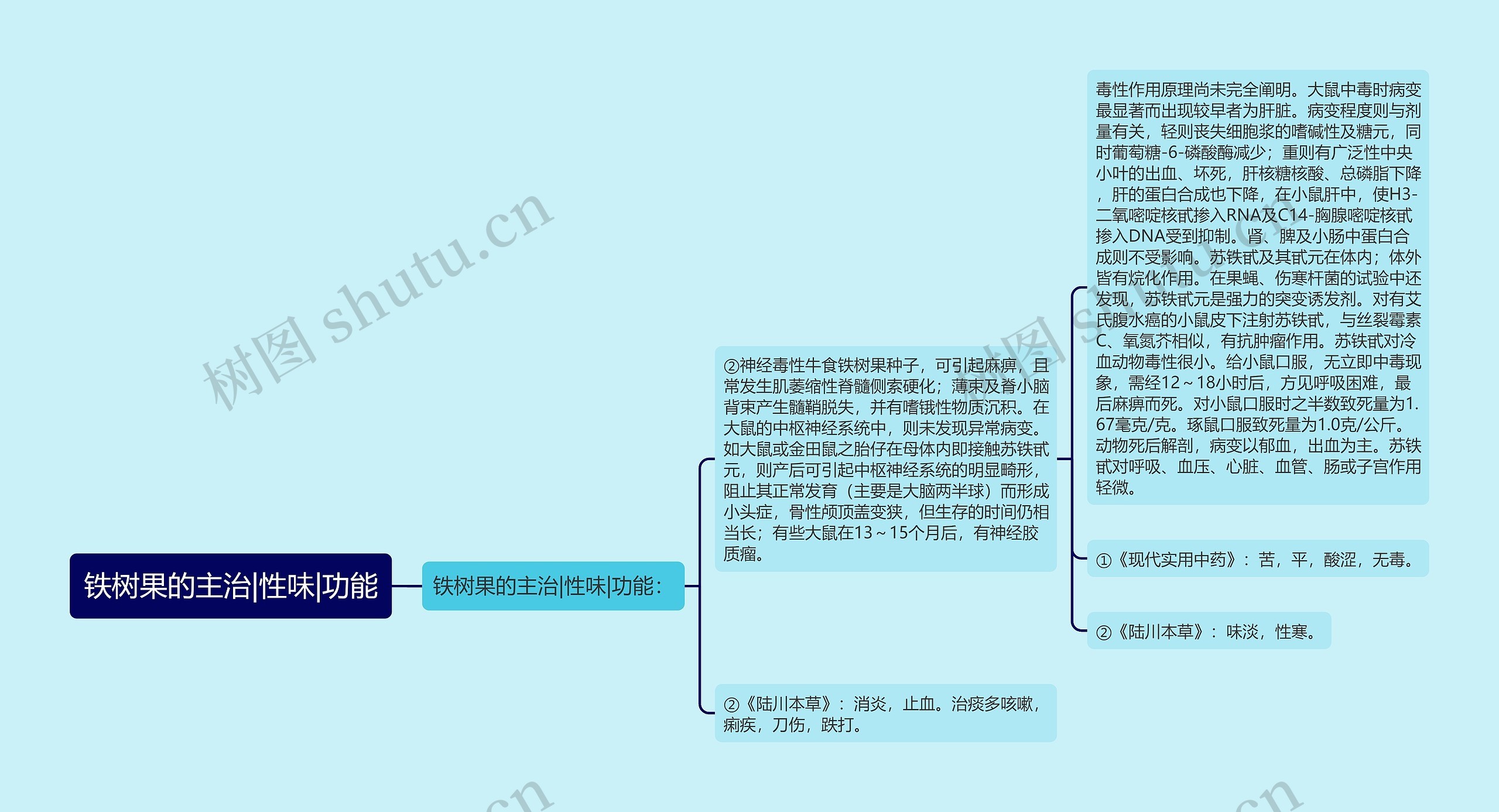 铁树果的主治|性味|功能