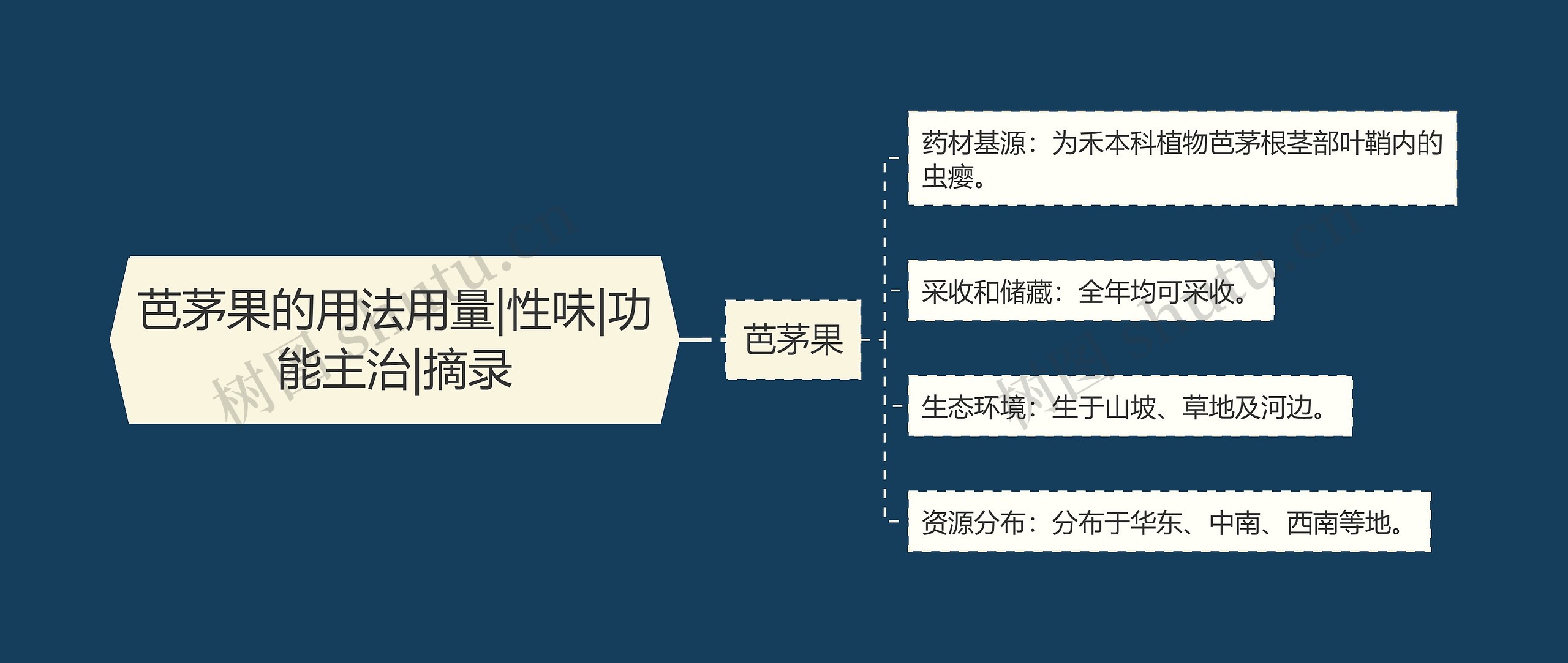 芭茅果的用法用量|性味|功能主治|摘录思维导图