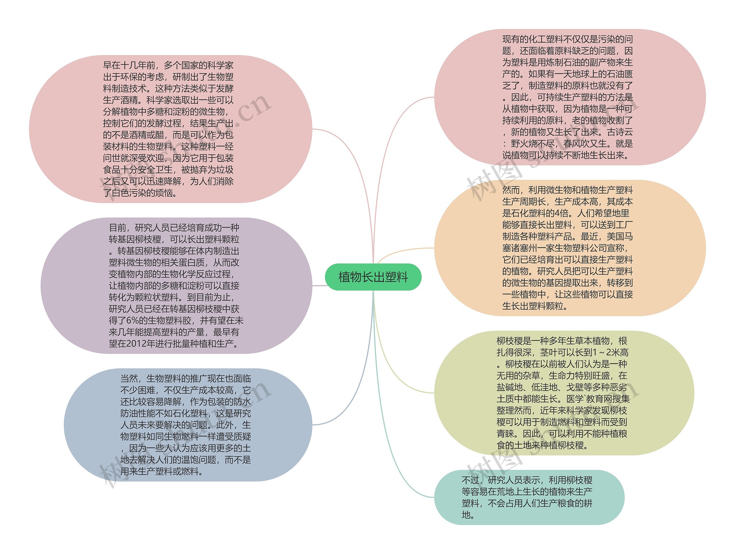 植物长出塑料思维导图