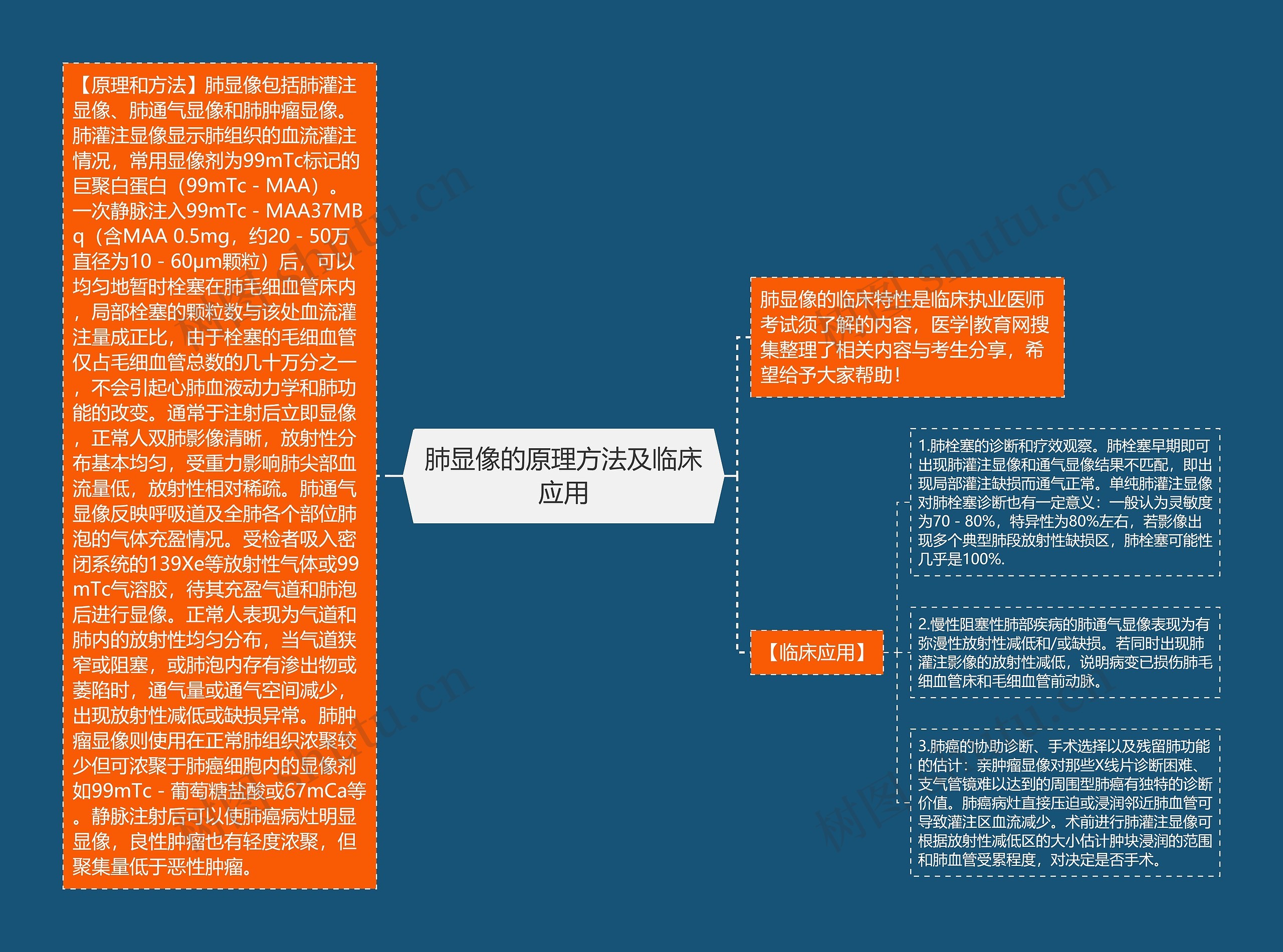 肺显像的原理方法及临床应用思维导图