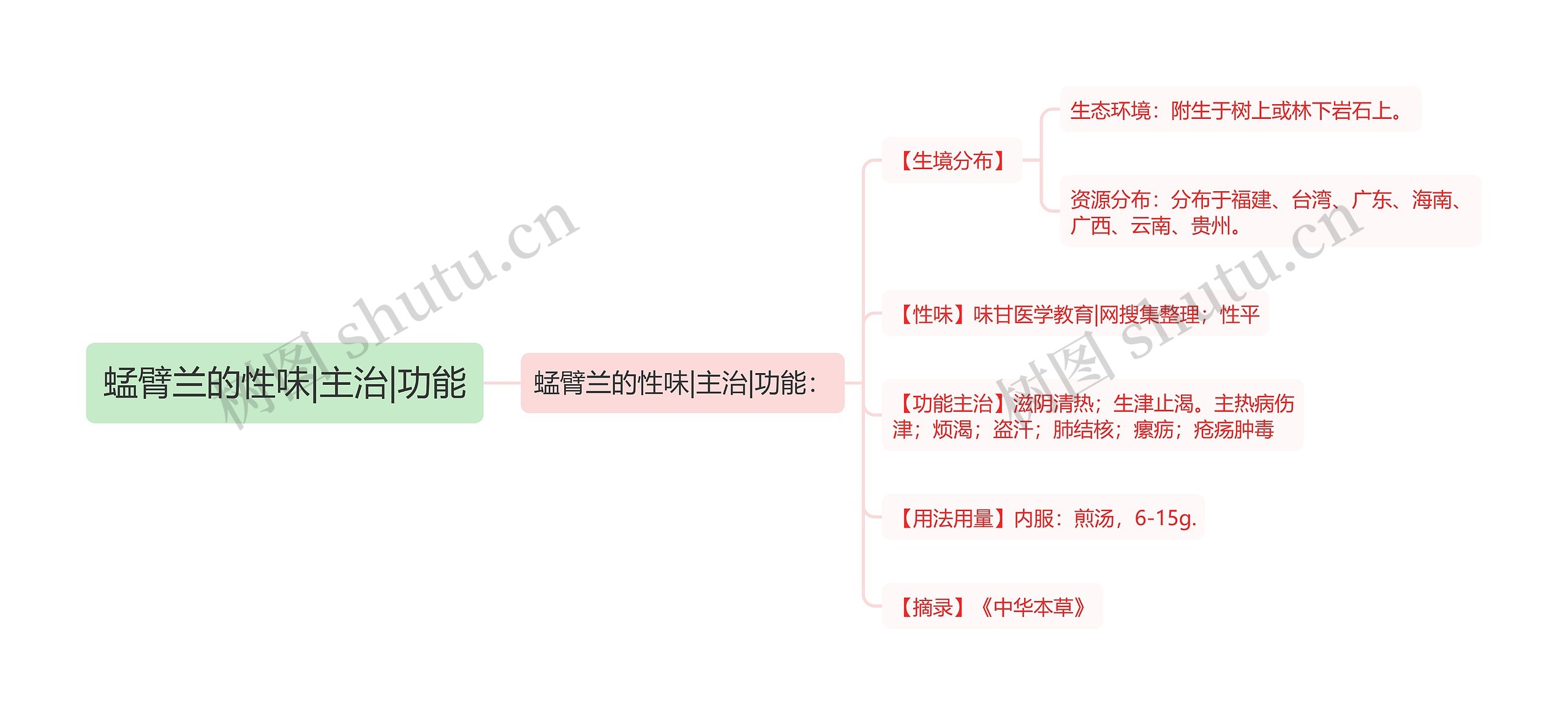 蜢臂兰的性味|主治|功能思维导图