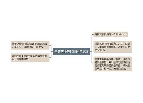 脊髓灰质炎的病原与病理