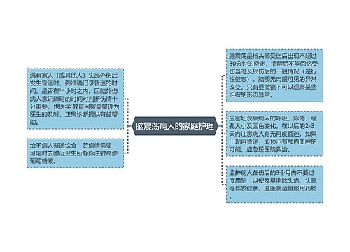 脑震荡病人的家庭护理