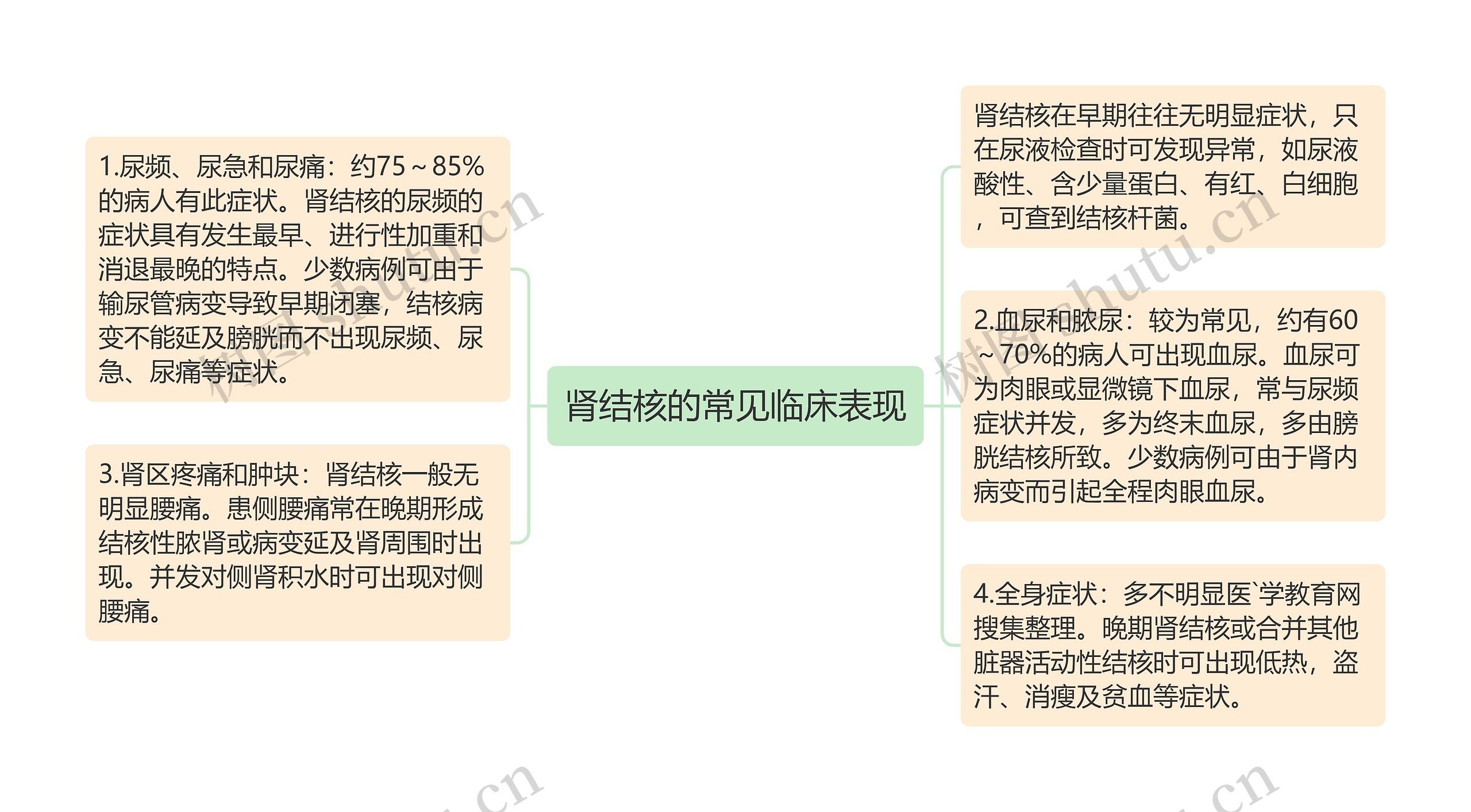 肾结核的常见临床表现思维导图