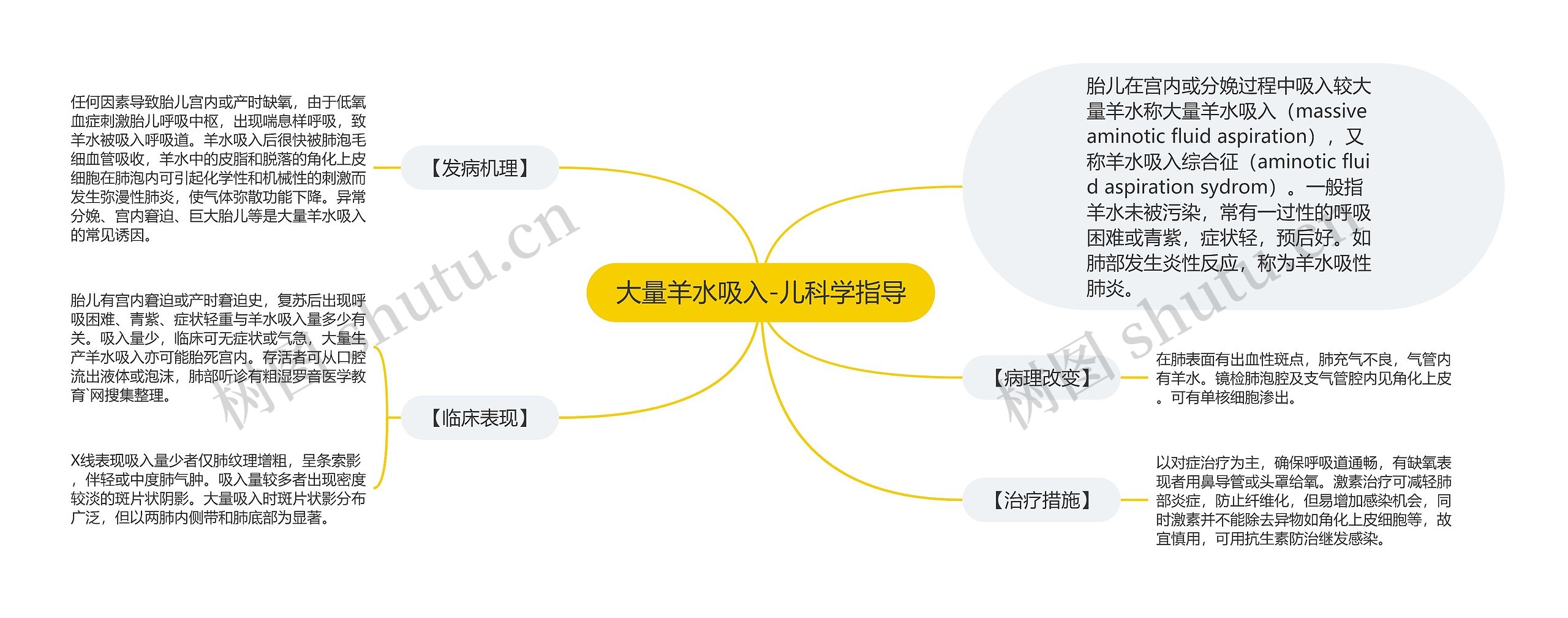 大量羊水吸入-儿科学指导