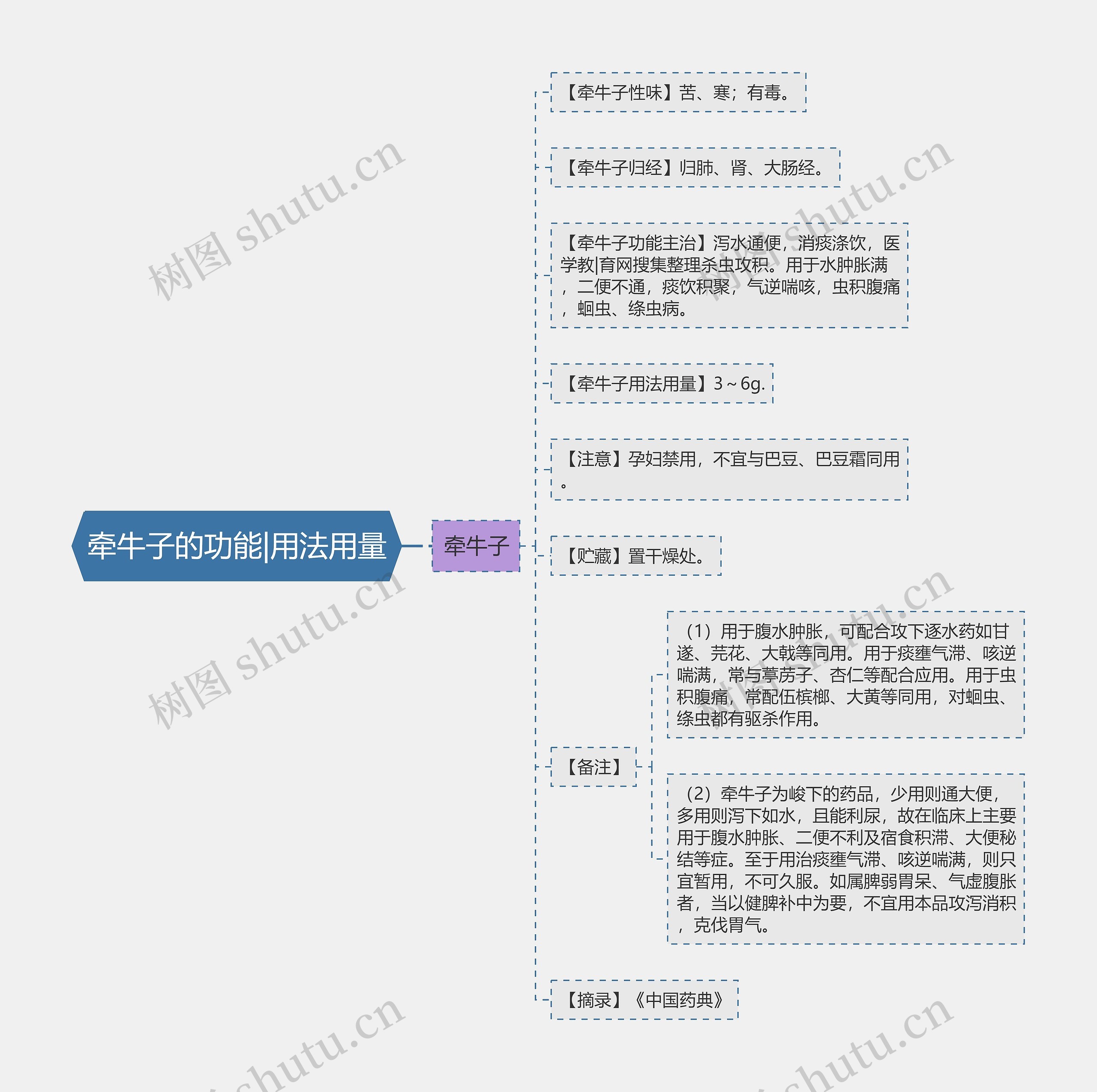 牵牛子的功能|用法用量思维导图