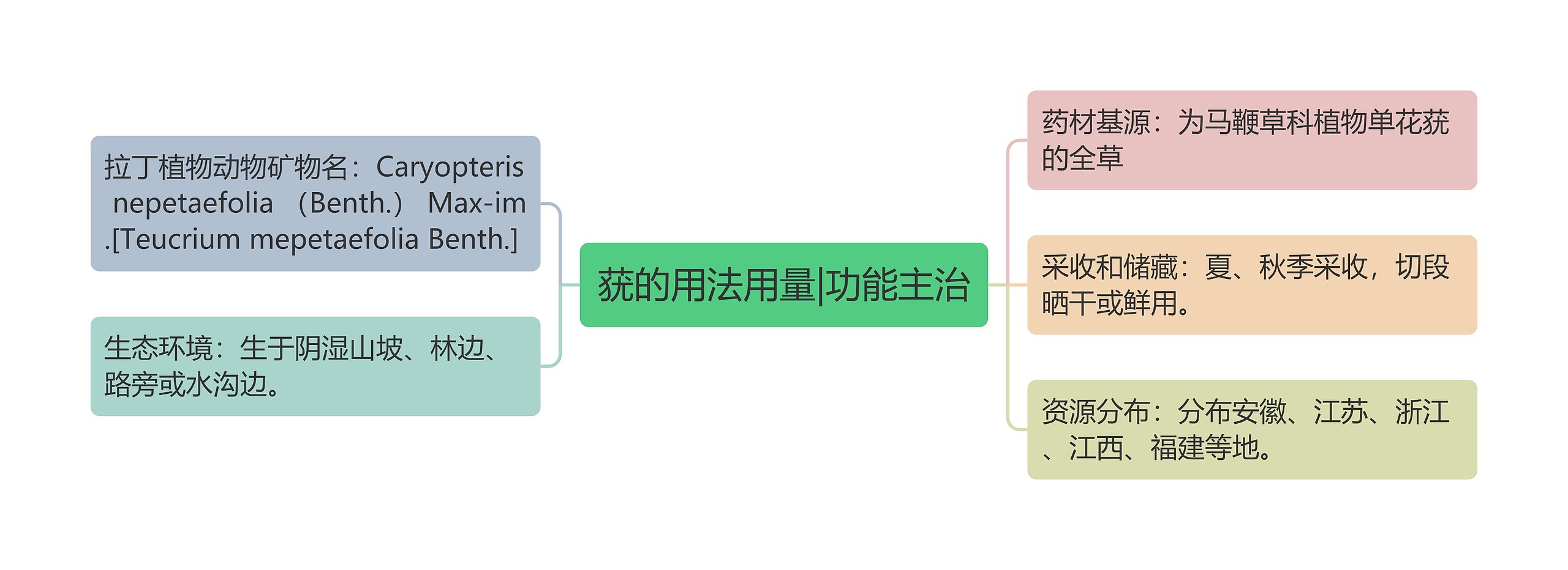 莸的用法用量|功能主治思维导图