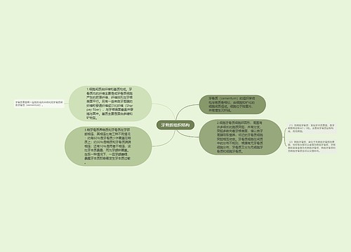 牙骨质组织结构思维导图