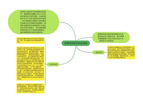 食管损伤的分类及表现