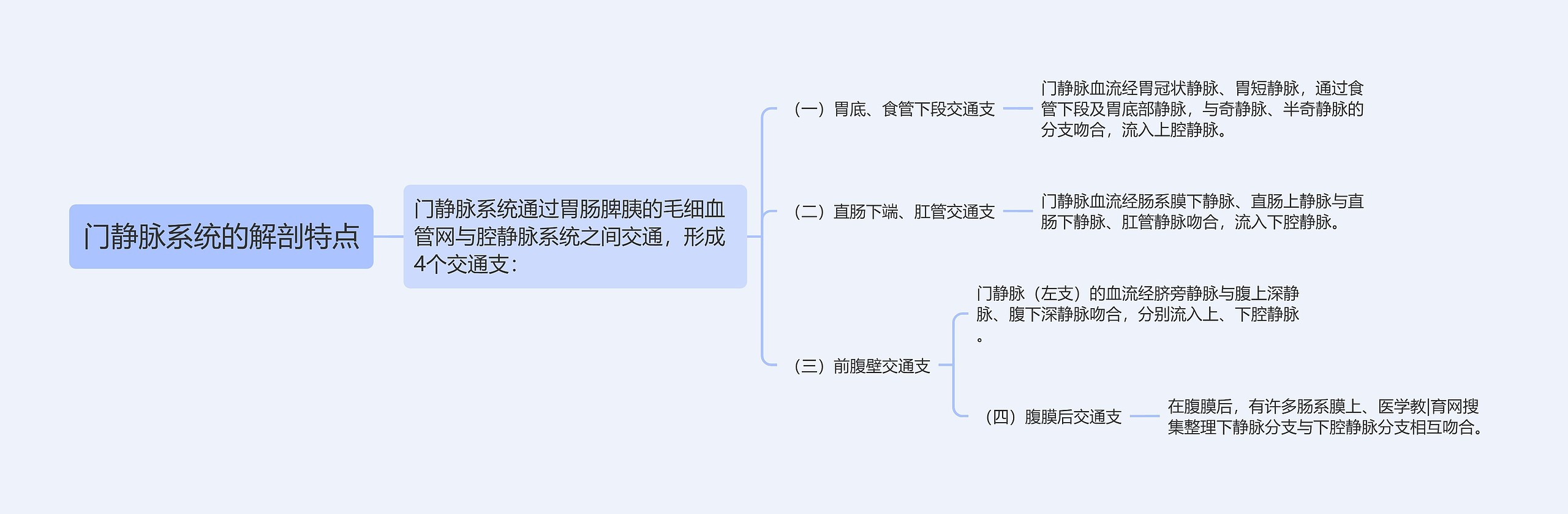 门静脉系统的解剖特点