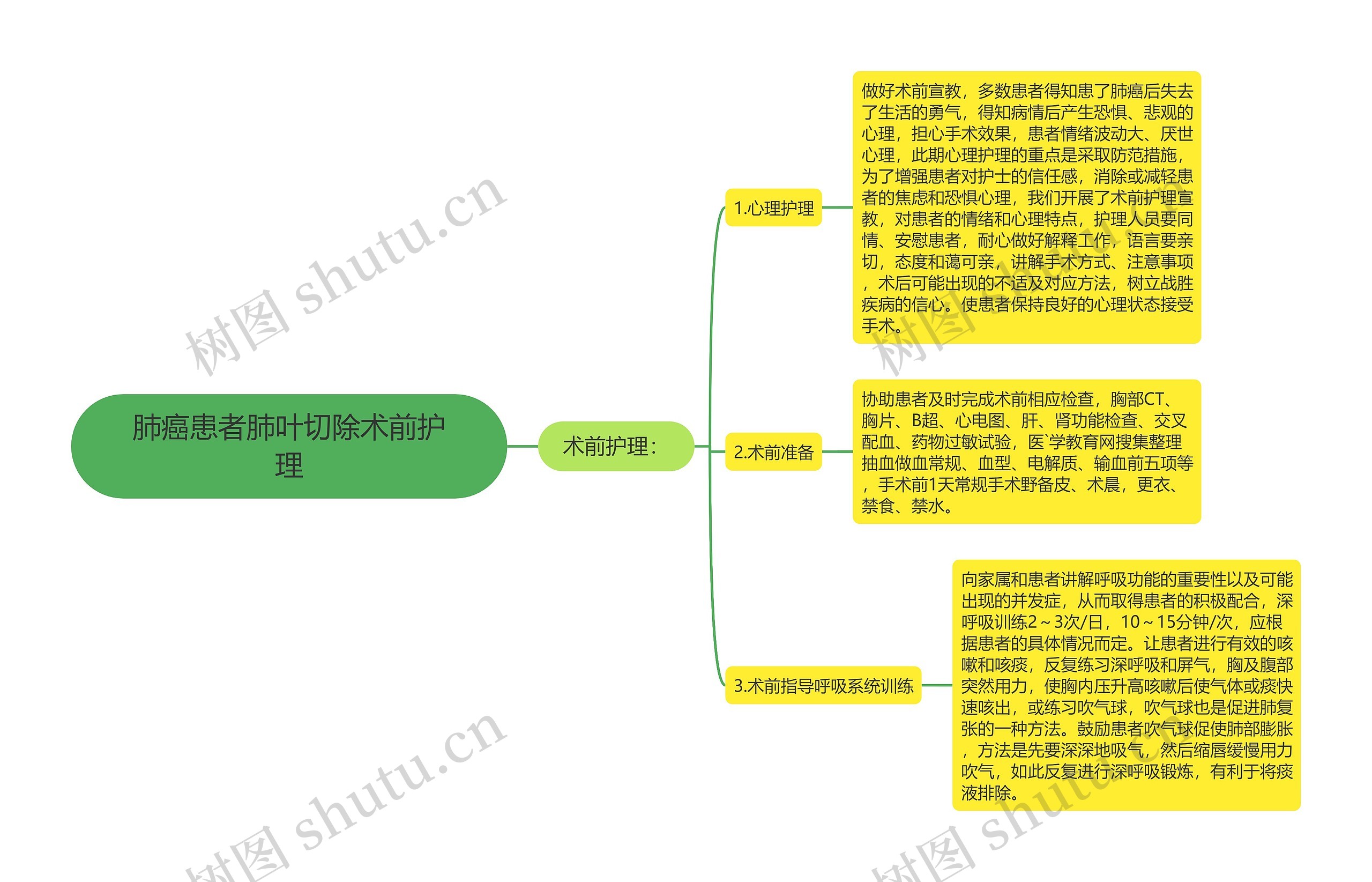 肺癌患者肺叶切除术前护理思维导图