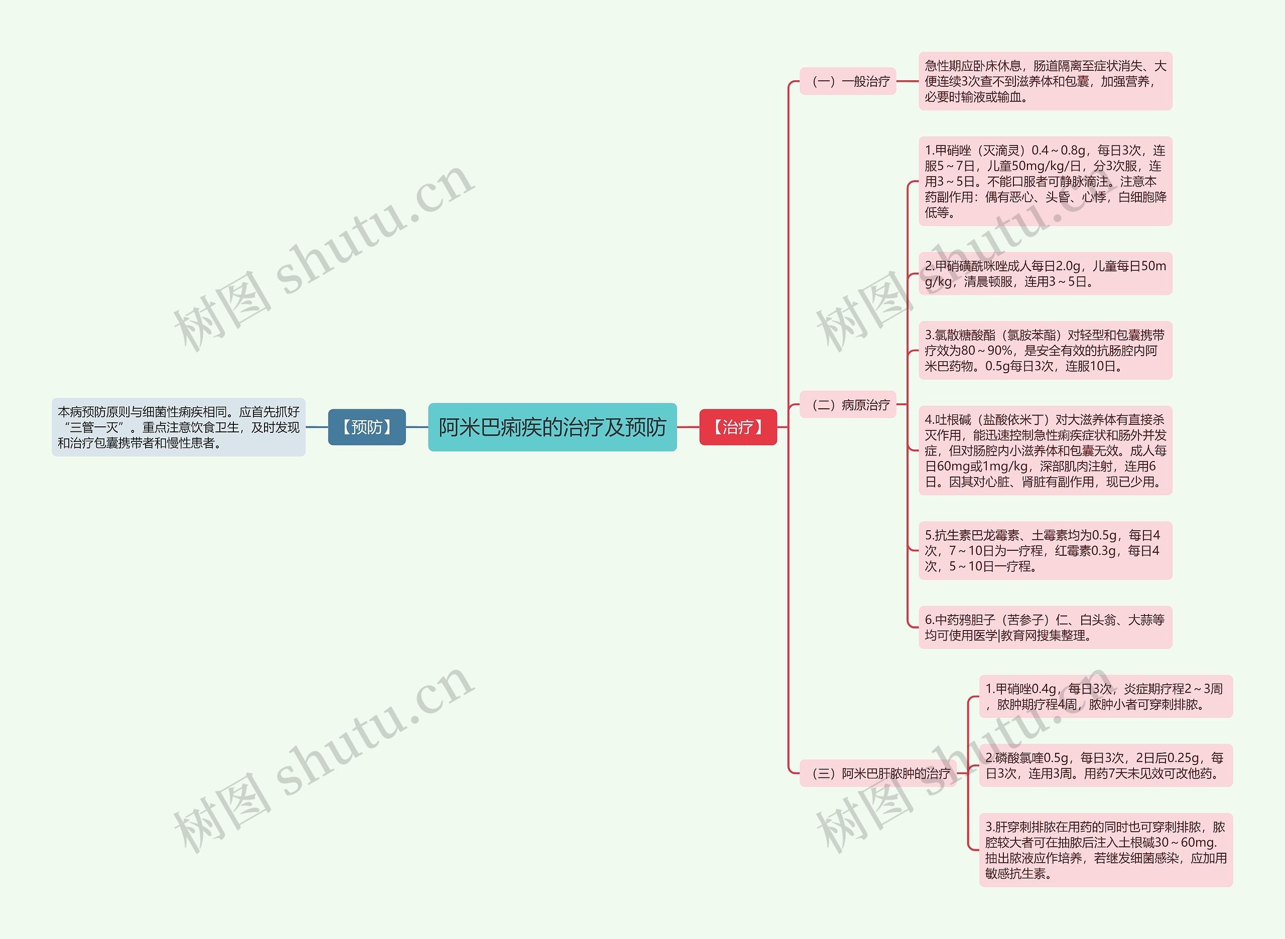阿米巴痢疾的治疗及预防 阿米巴痢疾的治疗及预防