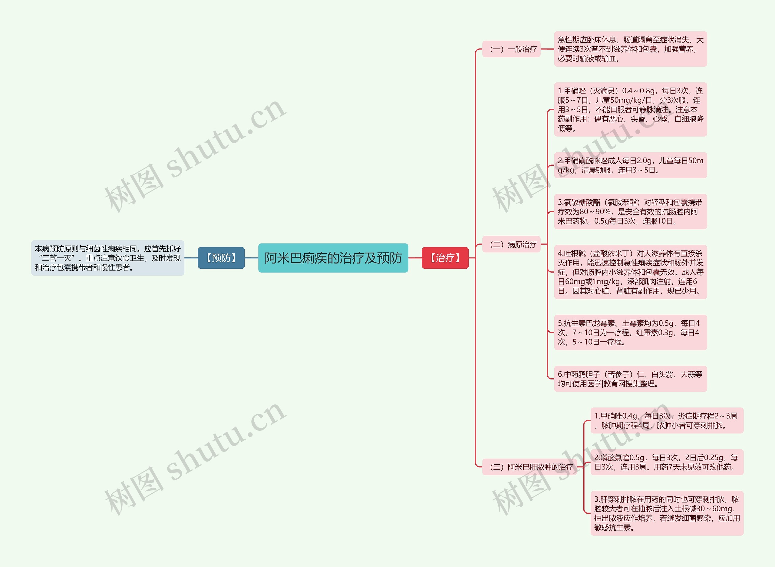 阿米巴痢疾的治疗及预防思维导图