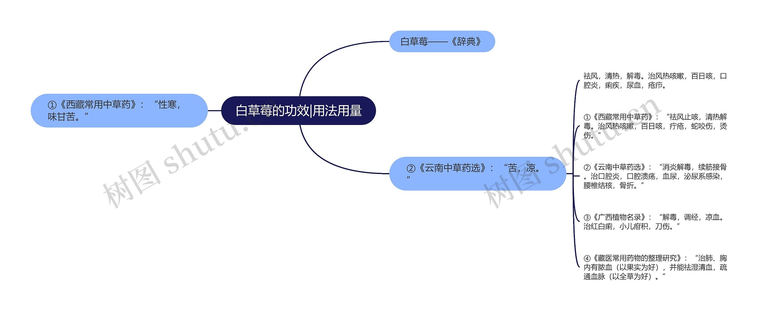 白草莓的功效|用法用量思维导图