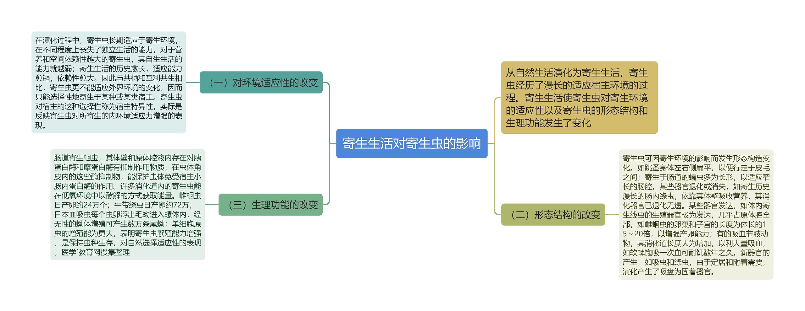 寄生生活对寄生虫的影响思维导图