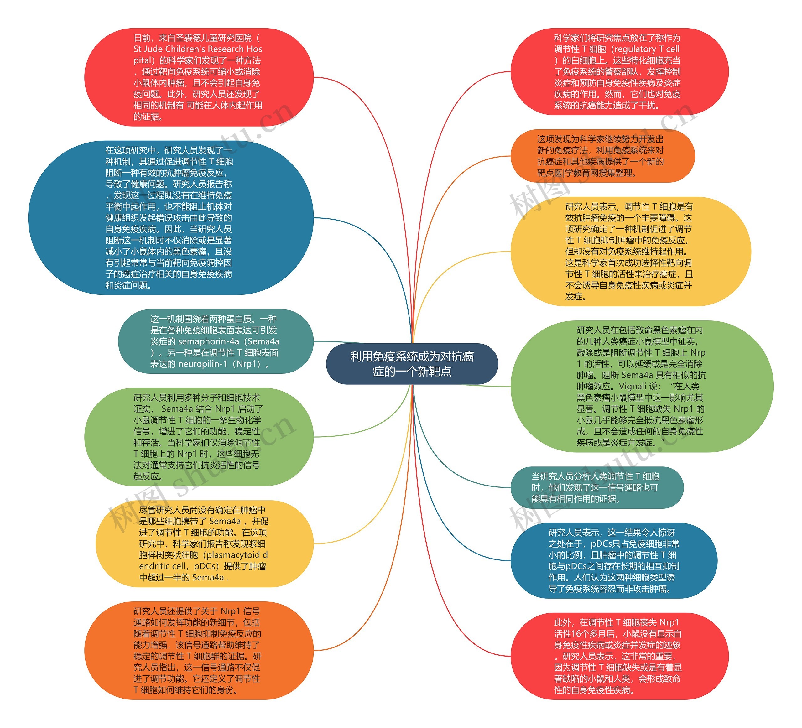 利用免疫系统成为对抗癌症的一个新靶点思维导图