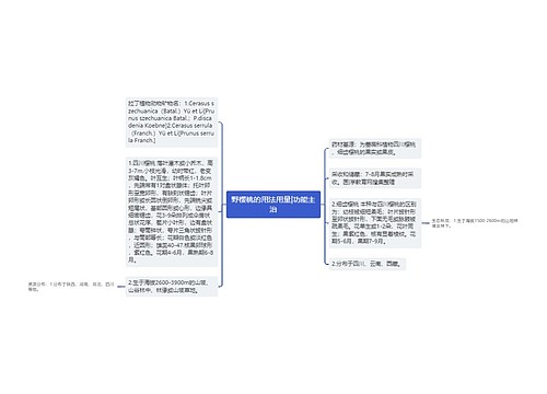 野樱桃的用法用量|功能主治