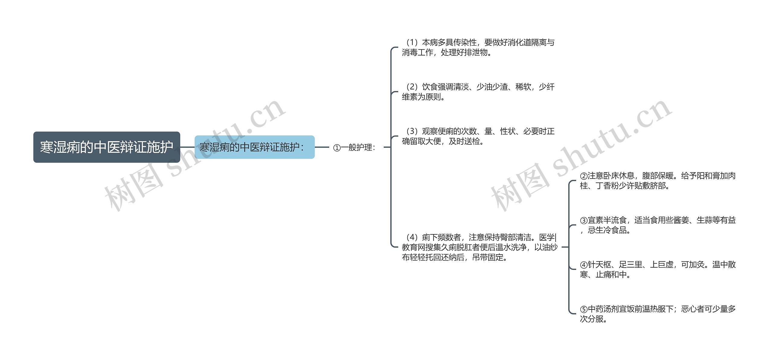 寒湿痢的中医辩证施护思维导图