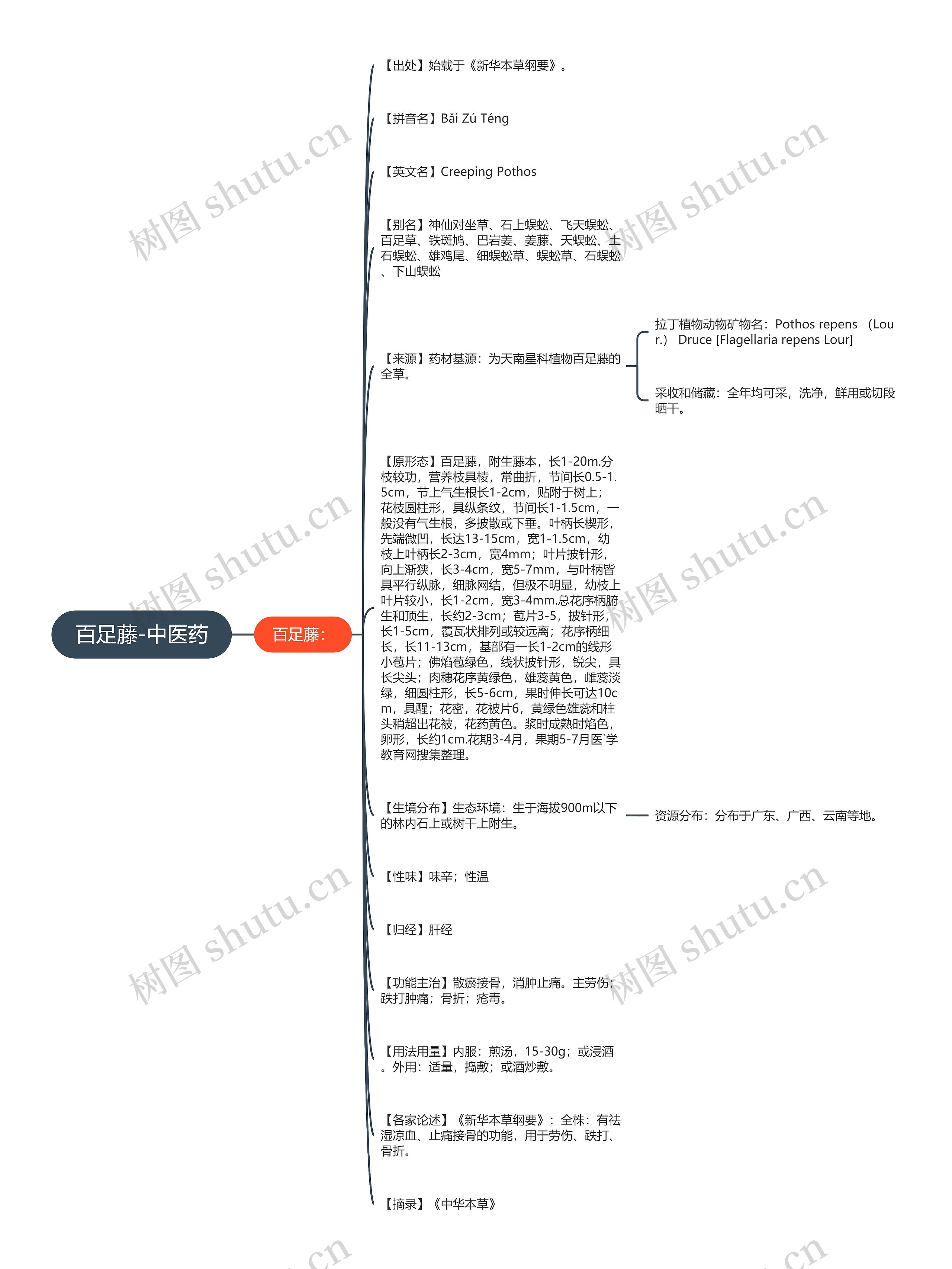百足藤-中医药思维导图