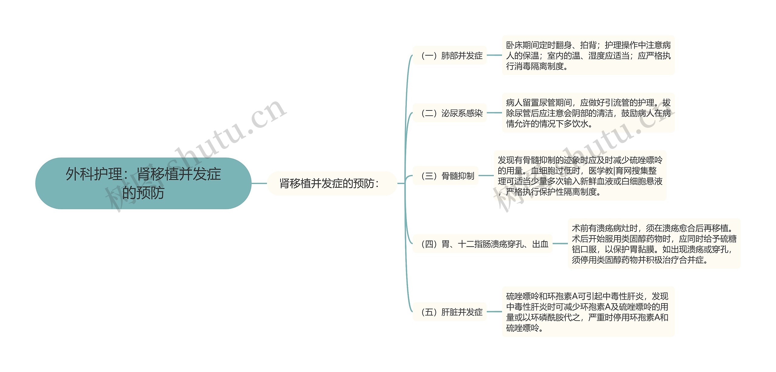 外科护理：肾移植并发症的预防思维导图