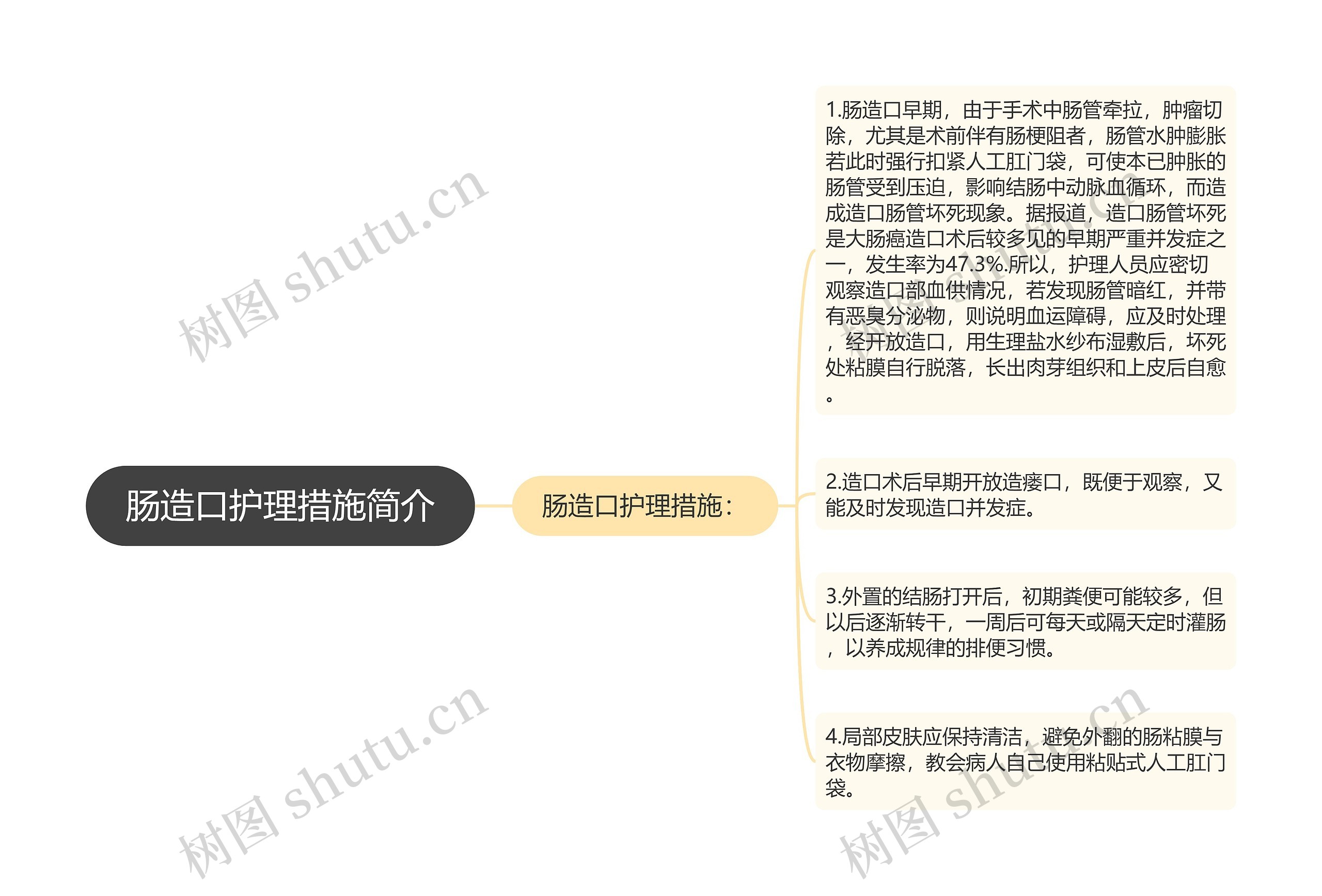 肠造口护理措施简介思维导图