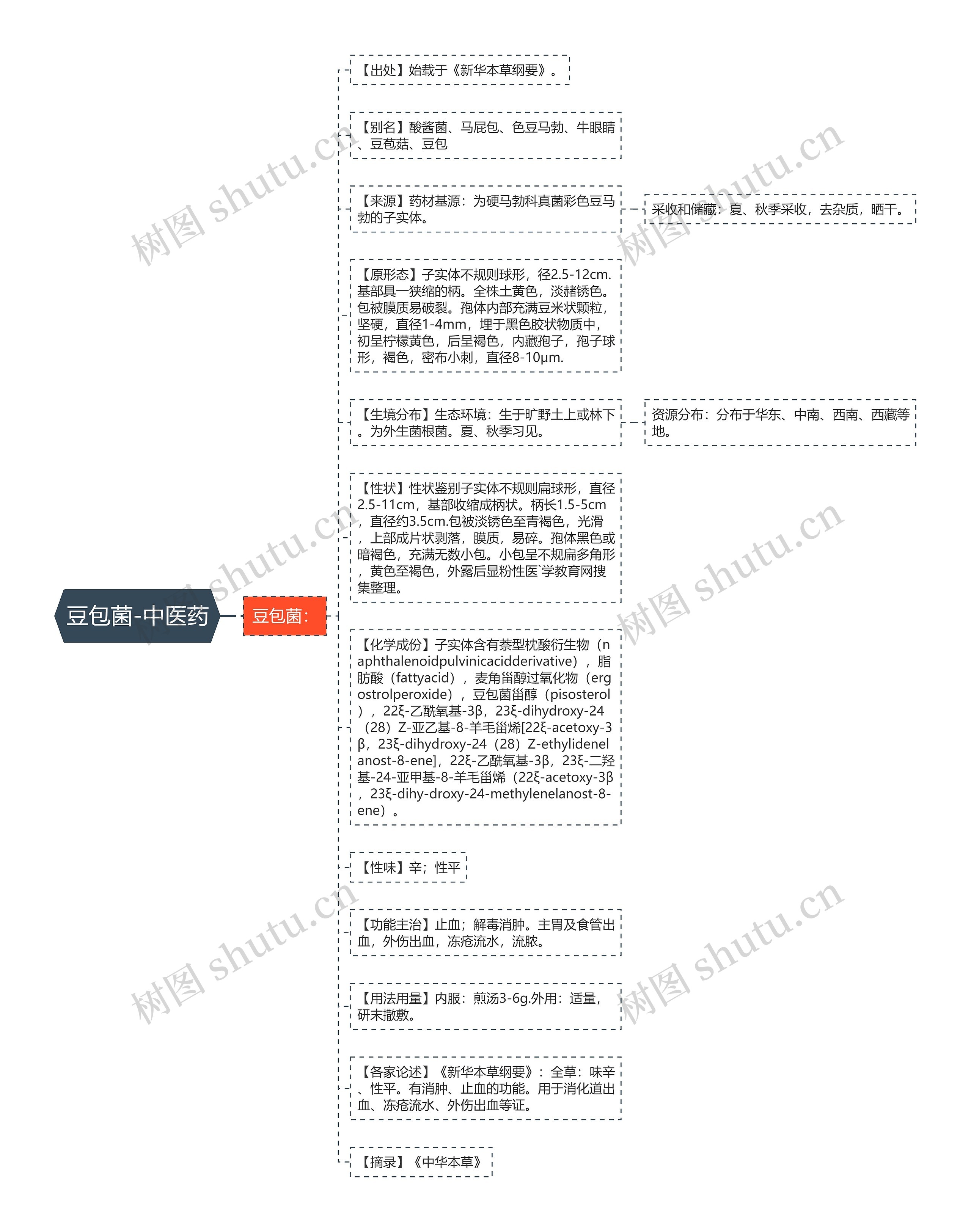 豆包菌-中医药思维导图