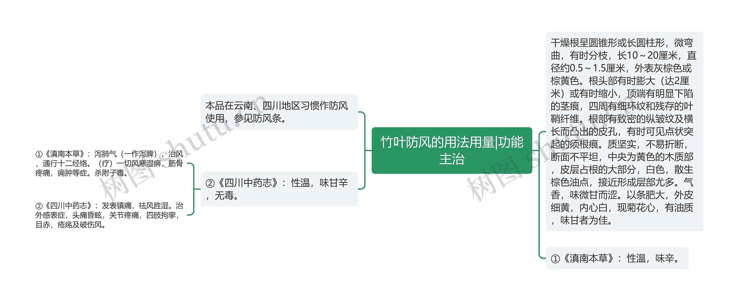 竹叶防风的用法用量|功能主治 竹叶防风的用法用量|功能主治