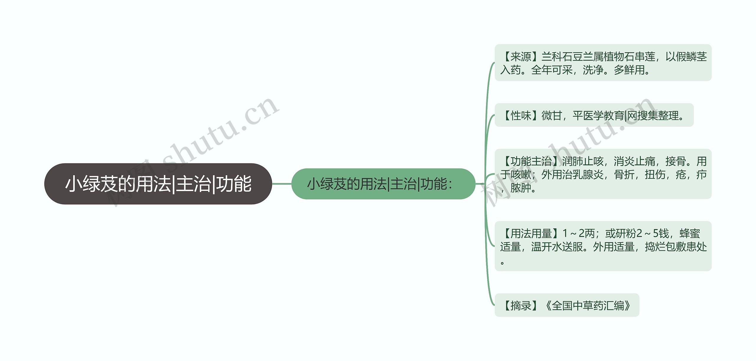 小绿芨的用法|主治|功能