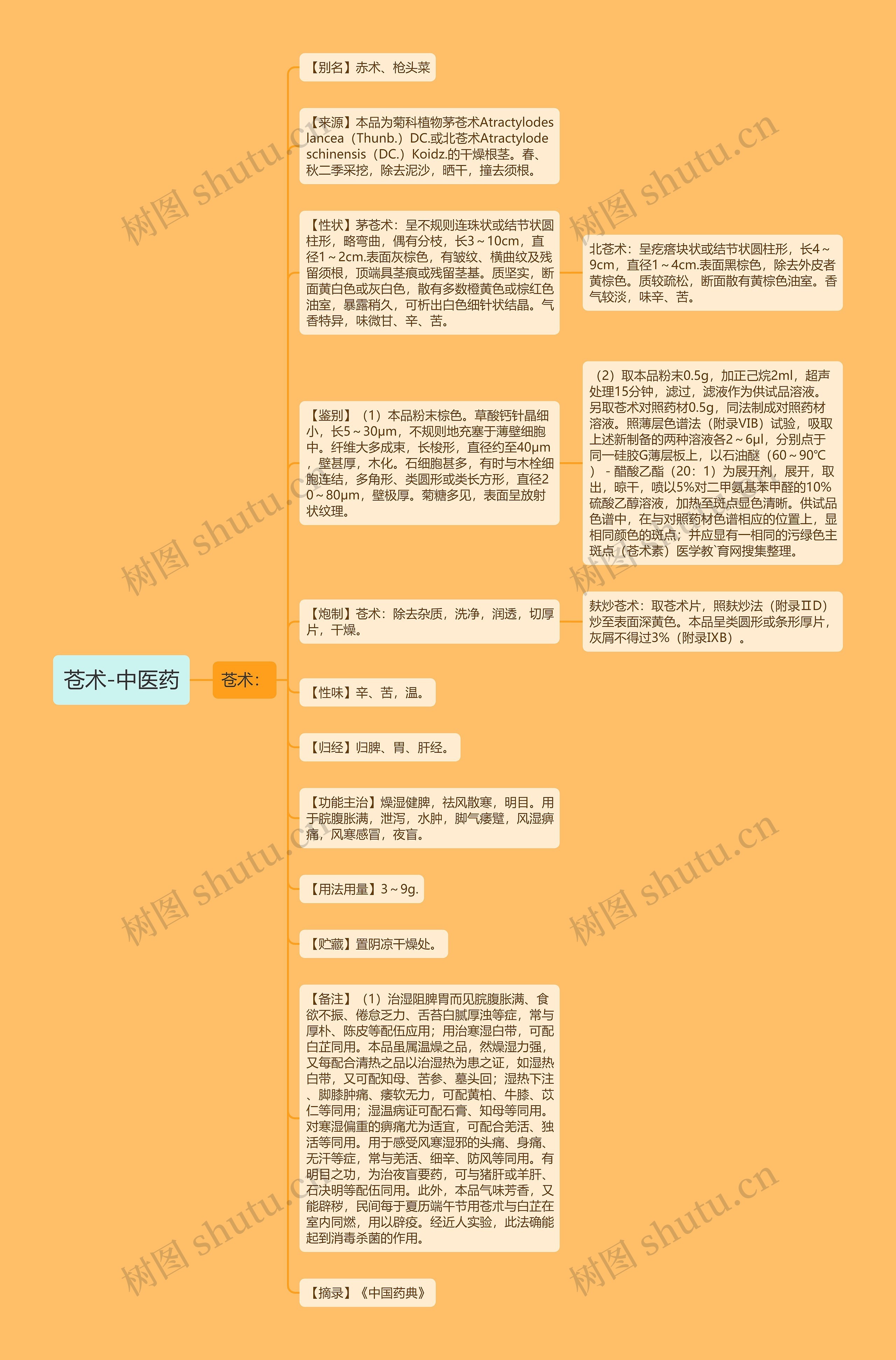 苍术-中医药思维导图