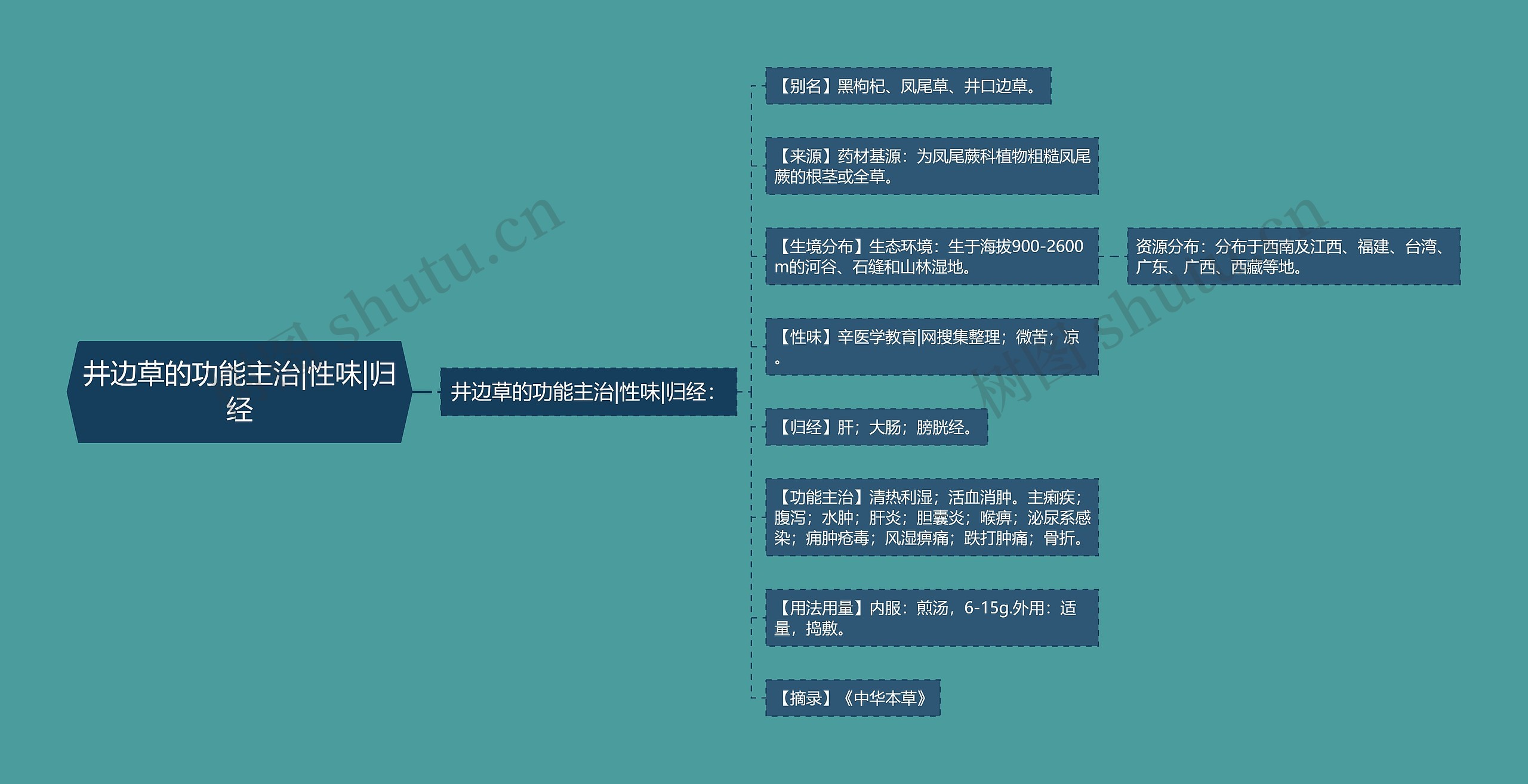 井边草的功能主治|性味|归经思维导图